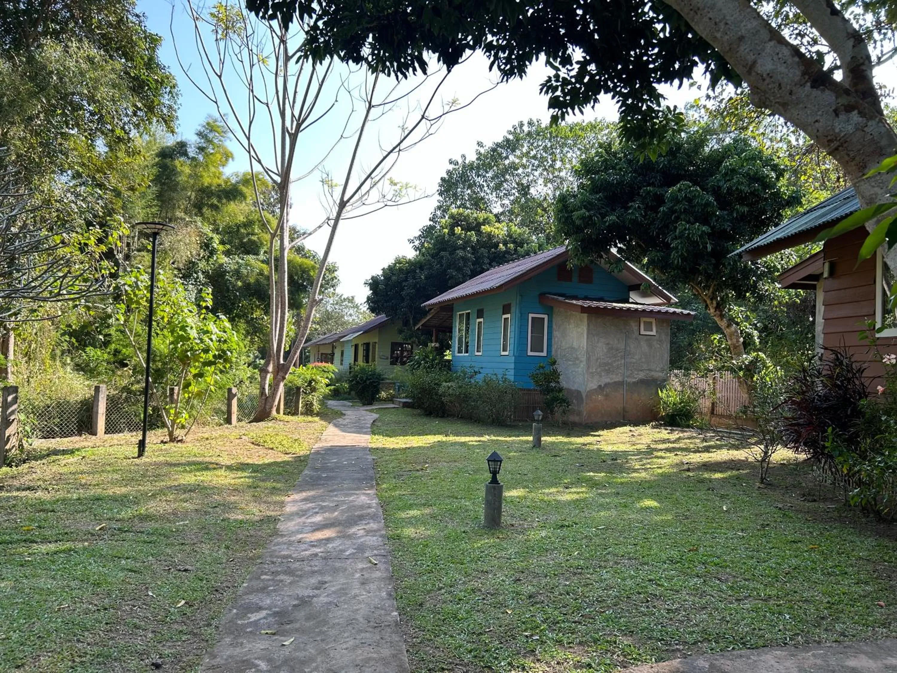 At Home Chiang Dao, Pooch Lovers