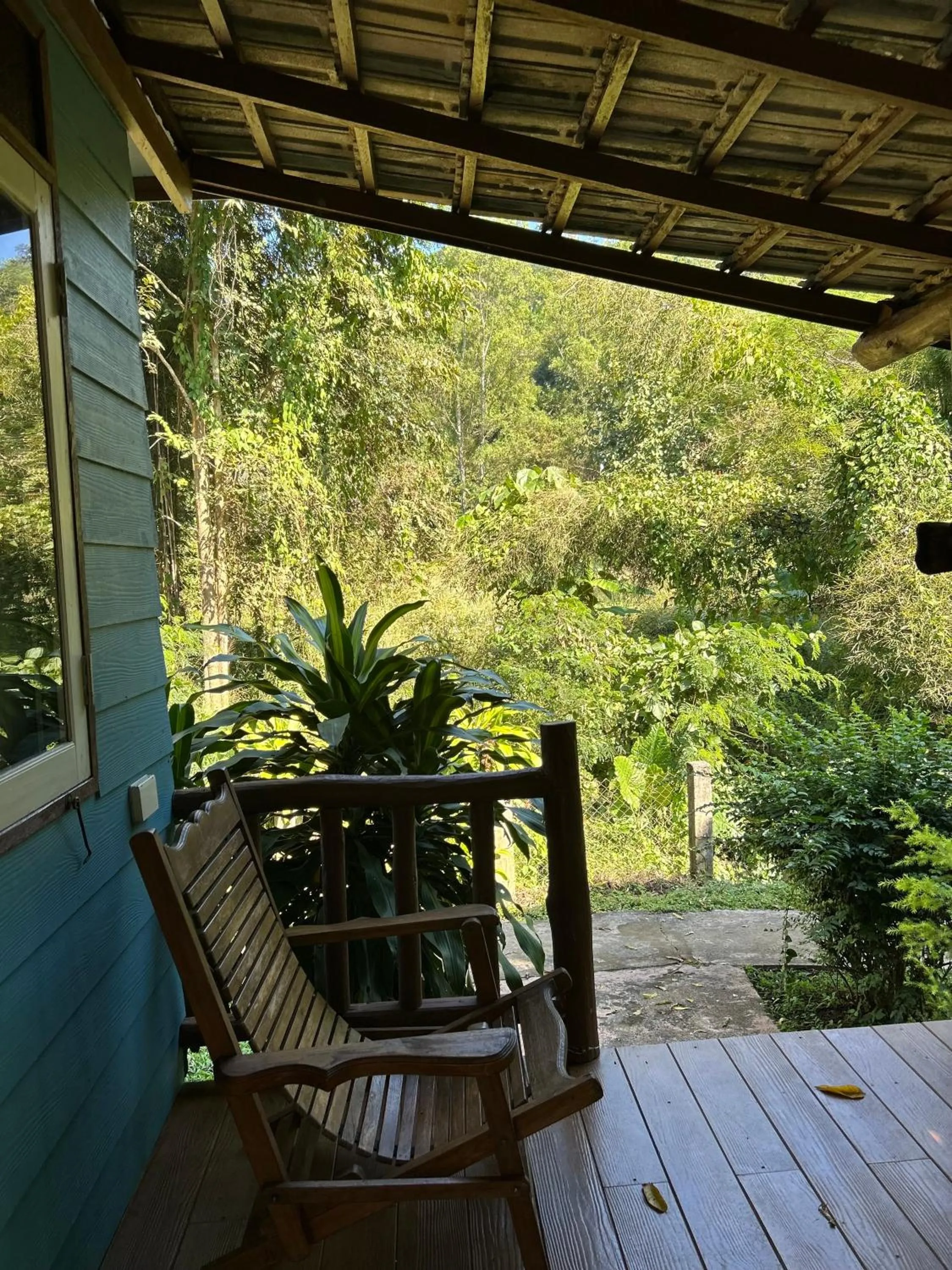 At Home Chiang Dao, Pooch Lovers