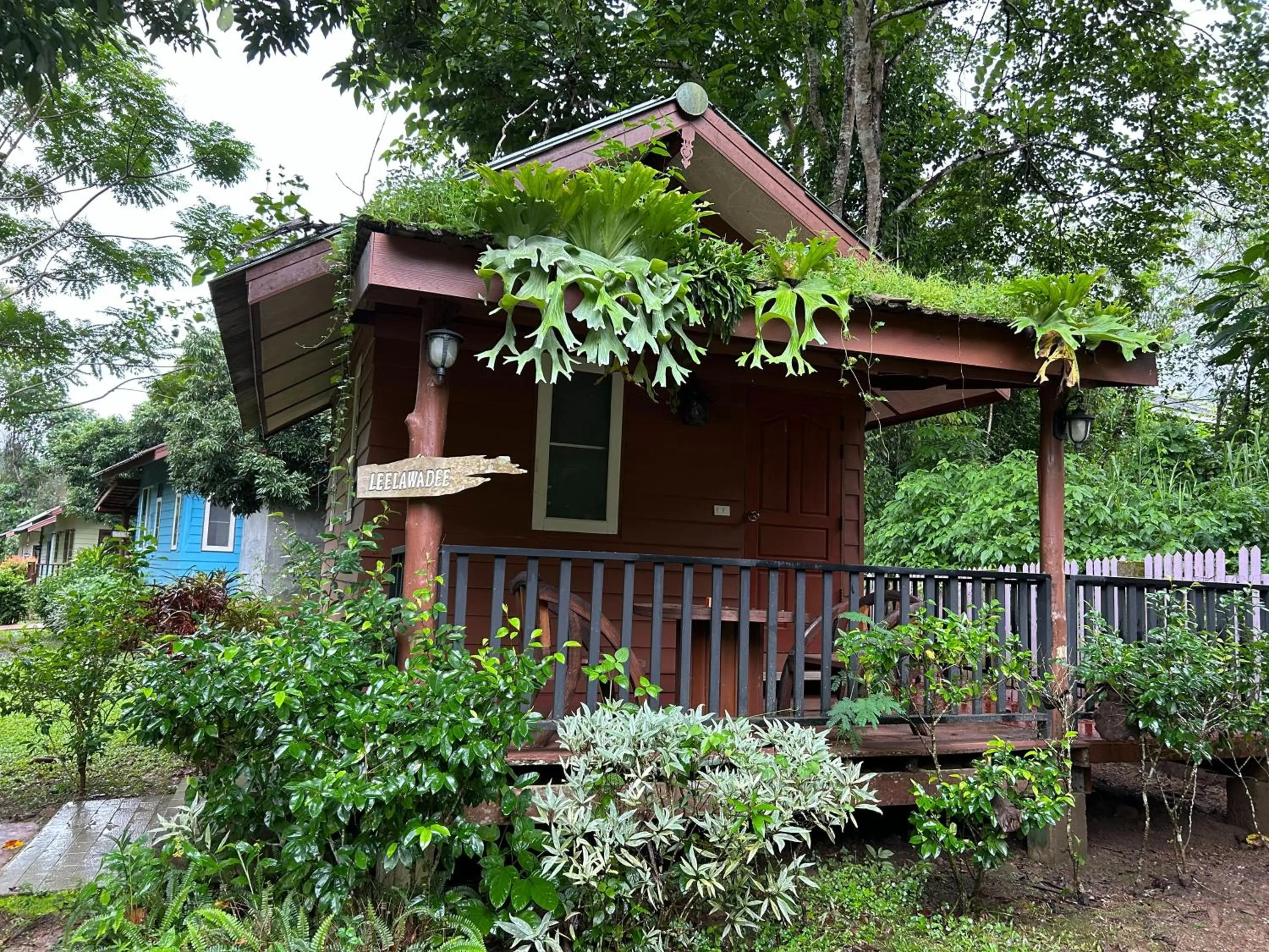 At Home Chiang Dao, Pooch Lovers