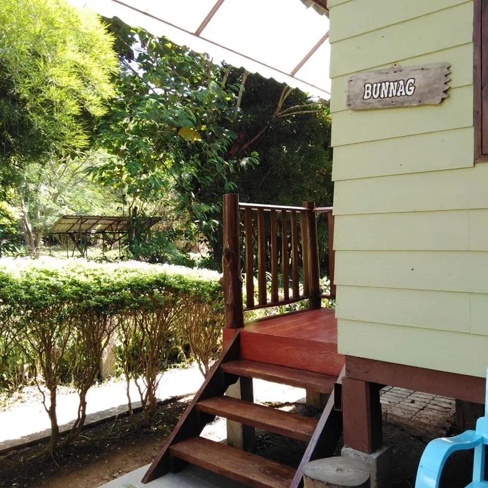 At Home Chiang Dao, Pooch Lovers