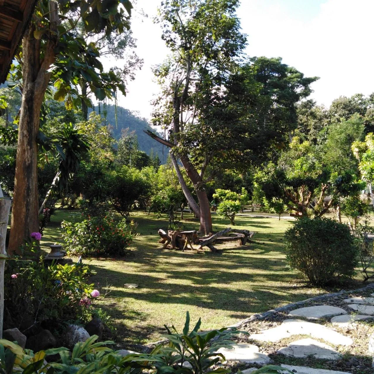 Natural landscape in At Home Chiang Dao, Pooch Lovers