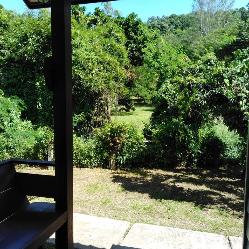 At Home Chiang Dao, Pooch Lovers