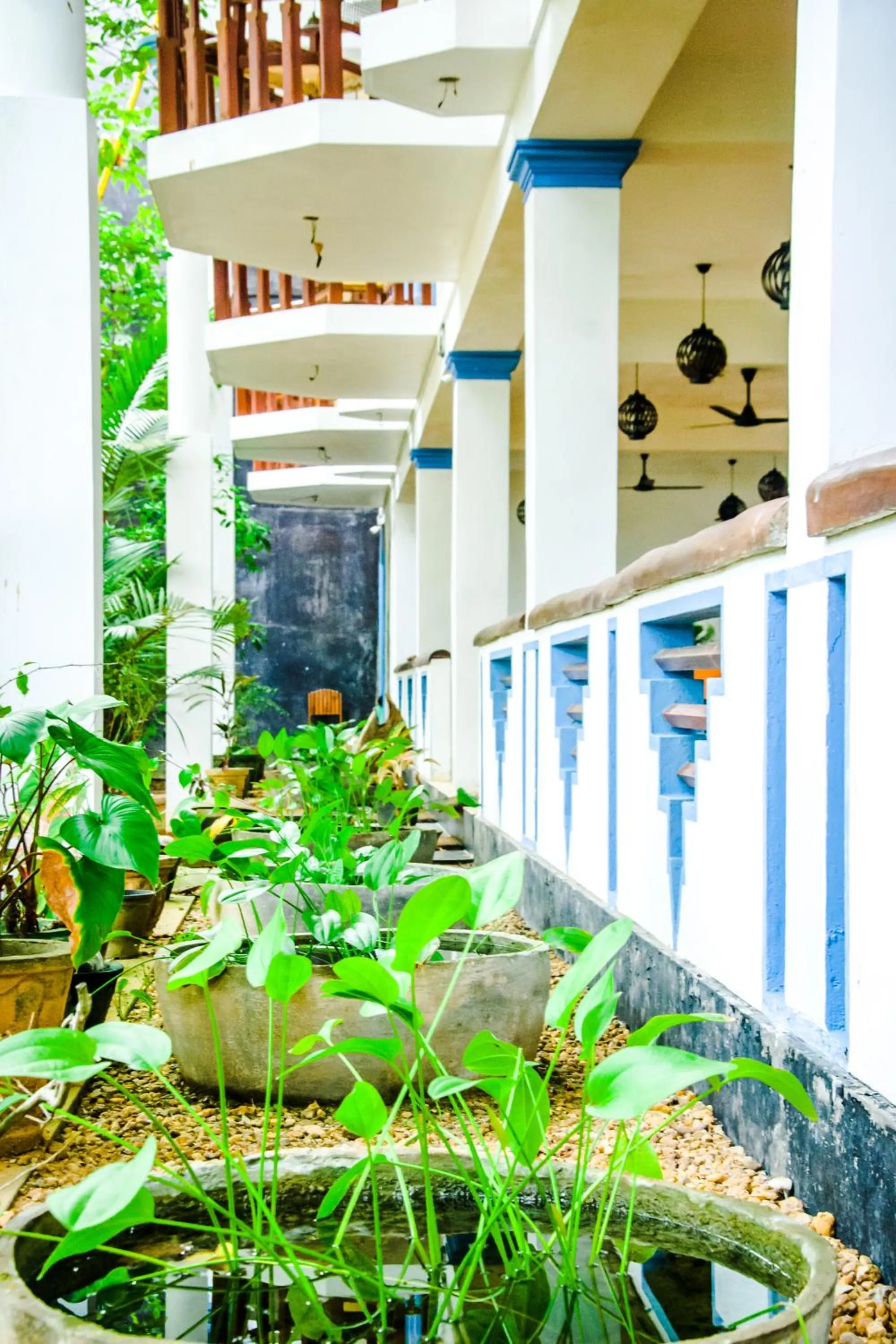 Garden in No Name Rest