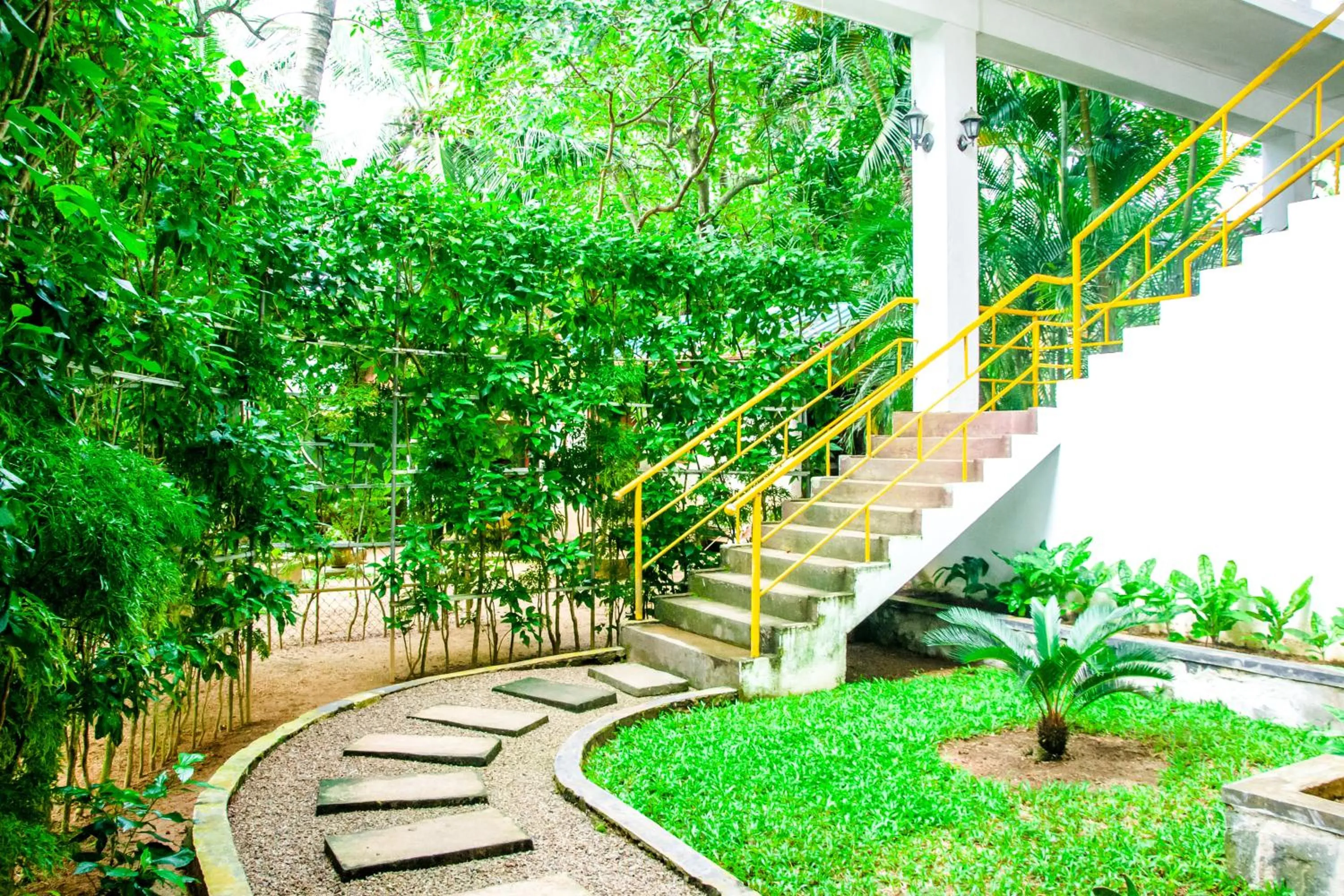 Property building in No Name Rest