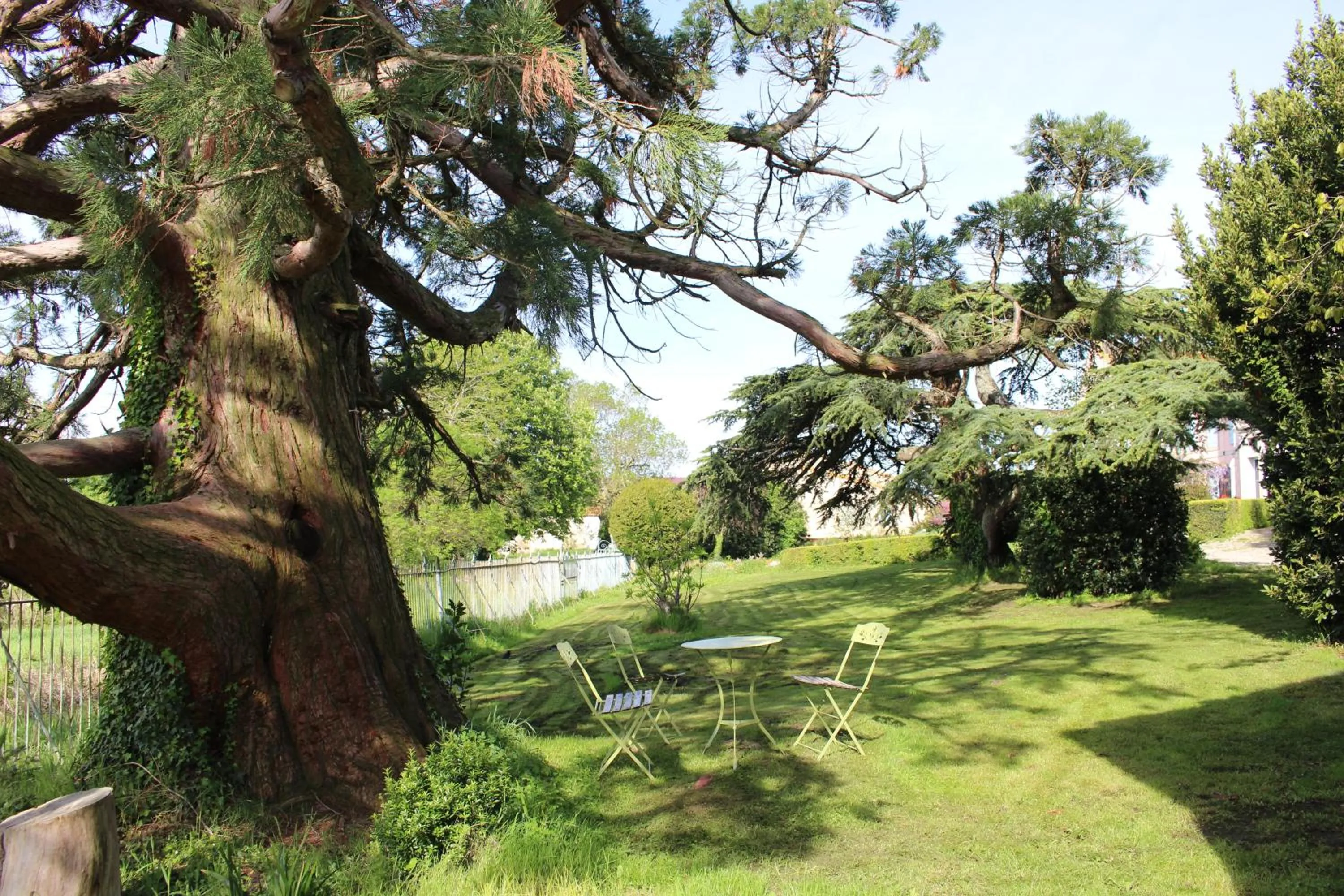 Garden view in Château de Villeneuve - Montolieu