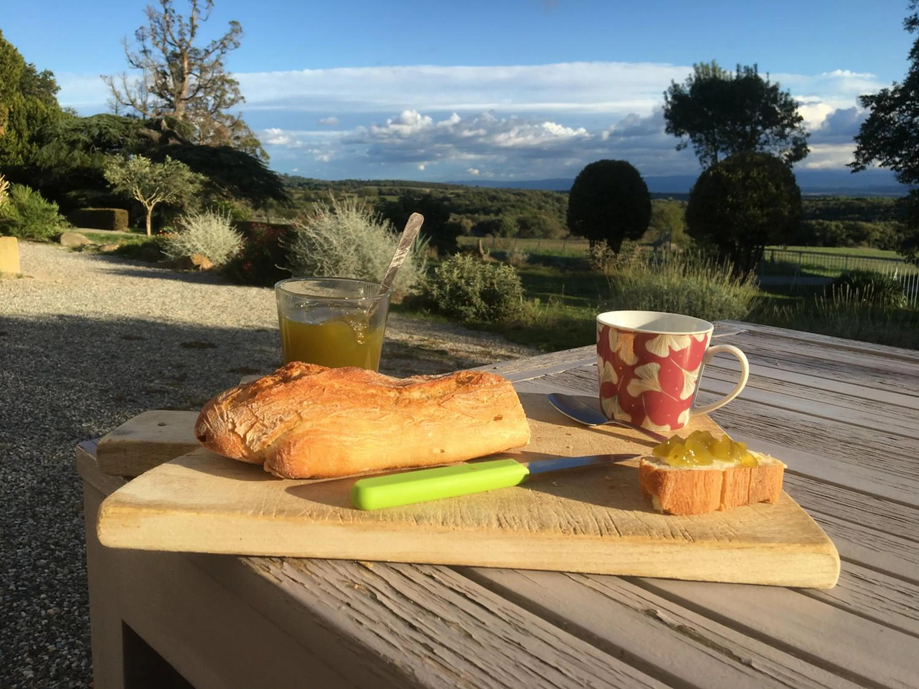 Food in Château de Villeneuve - Montolieu