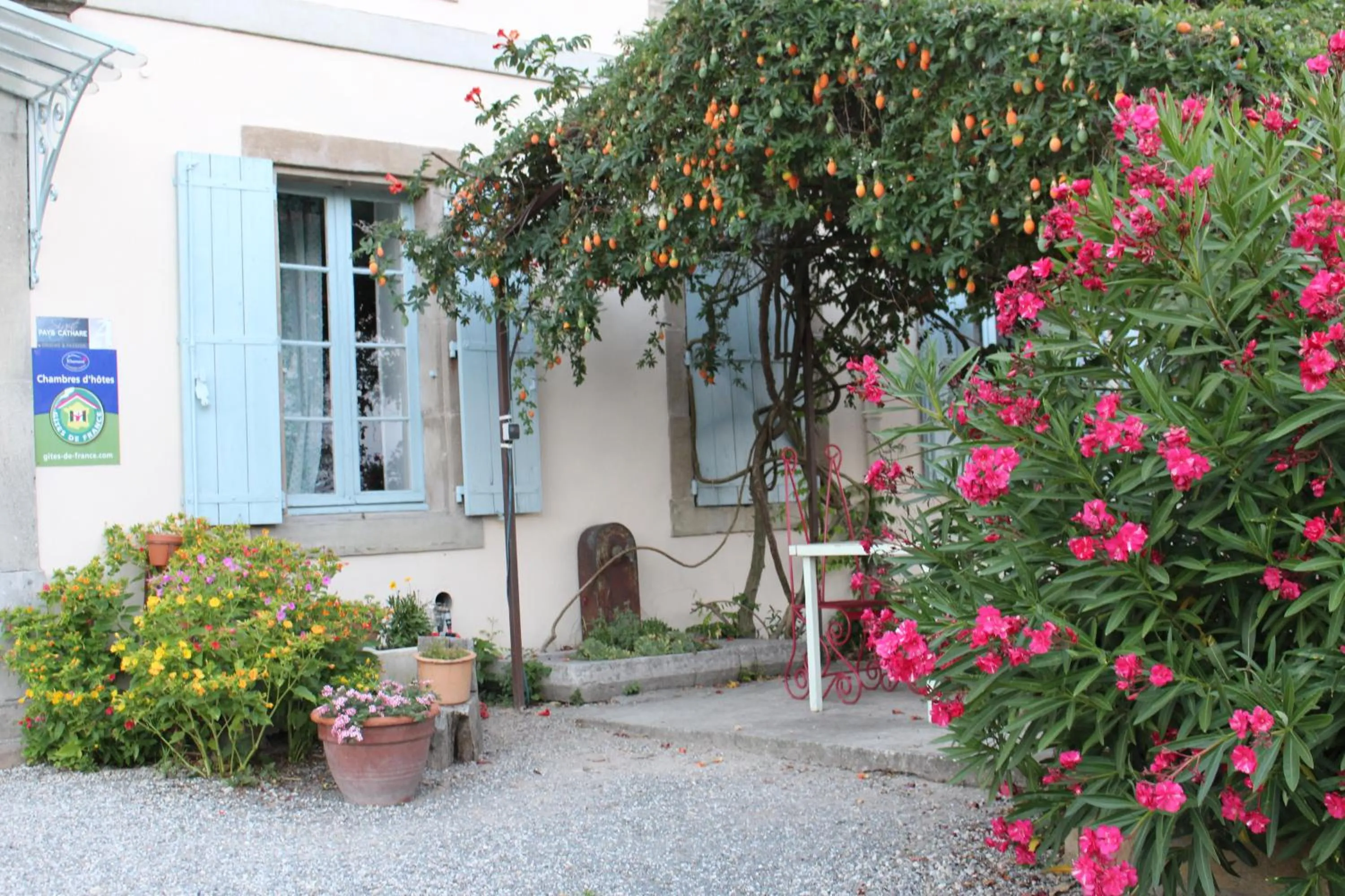 Property building in Château de Villeneuve - Montolieu
