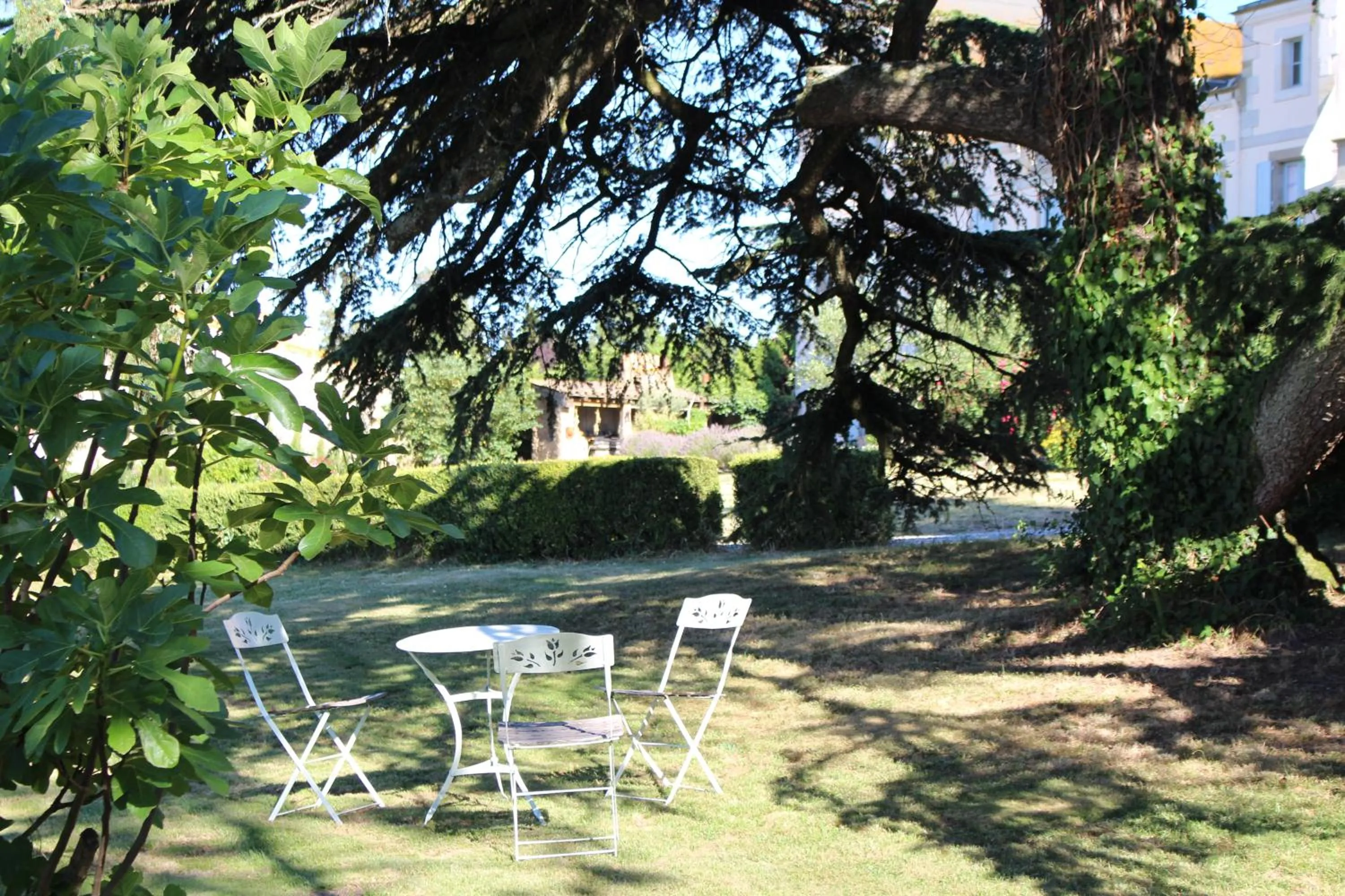 Garden in Château de Villeneuve - Montolieu