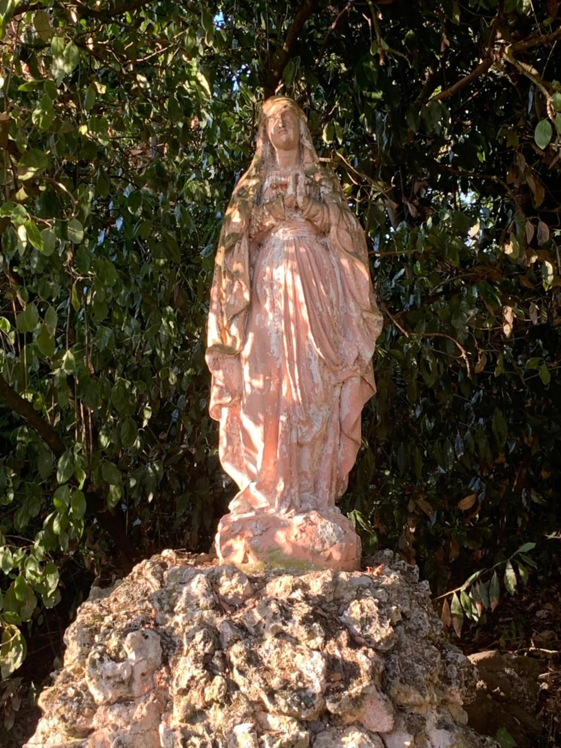 Garden in Château de Villeneuve - Montolieu