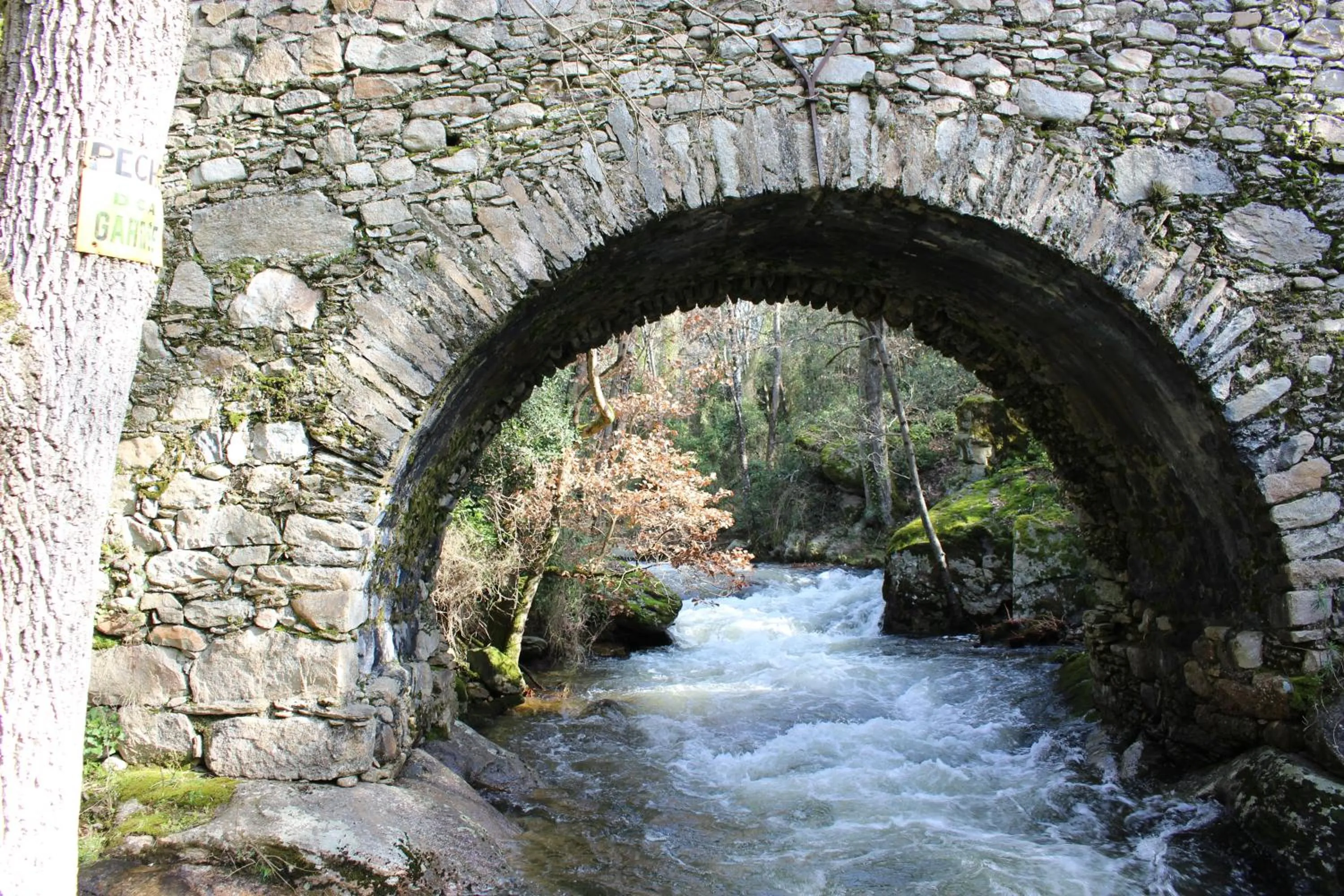 Natural landscape in Château de Villeneuve - Montolieu