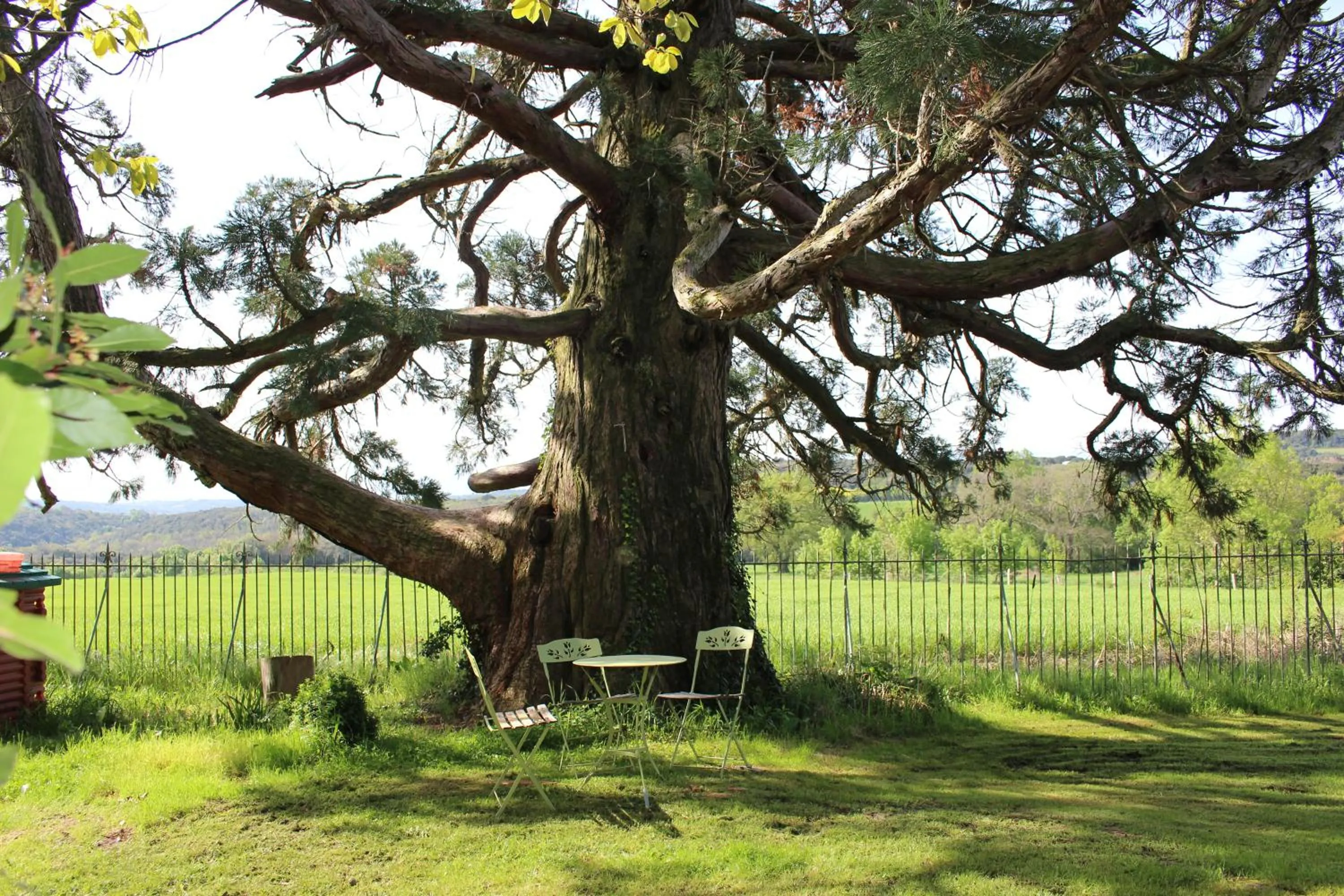 Natural landscape in Château de Villeneuve - Montolieu