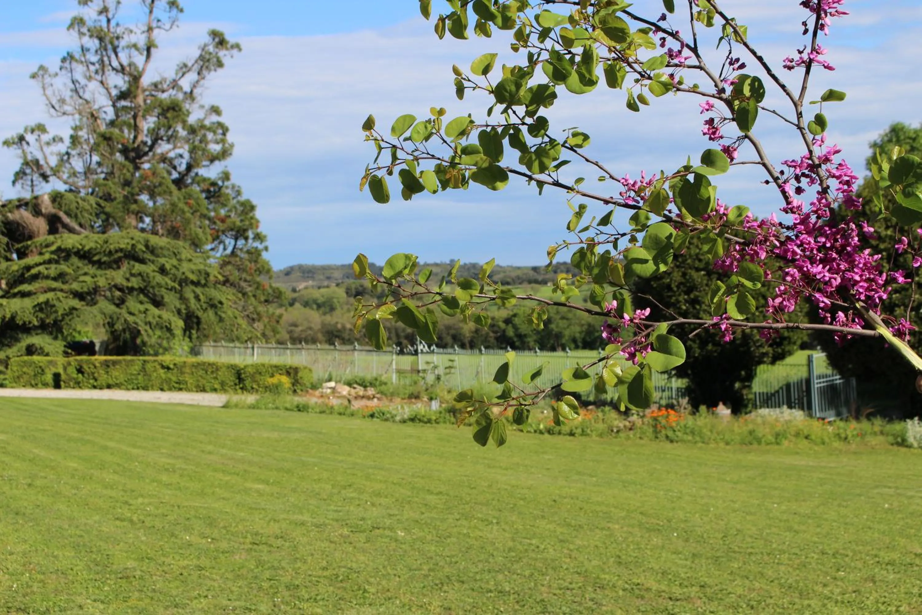 Garden in Château de Villeneuve - Montolieu