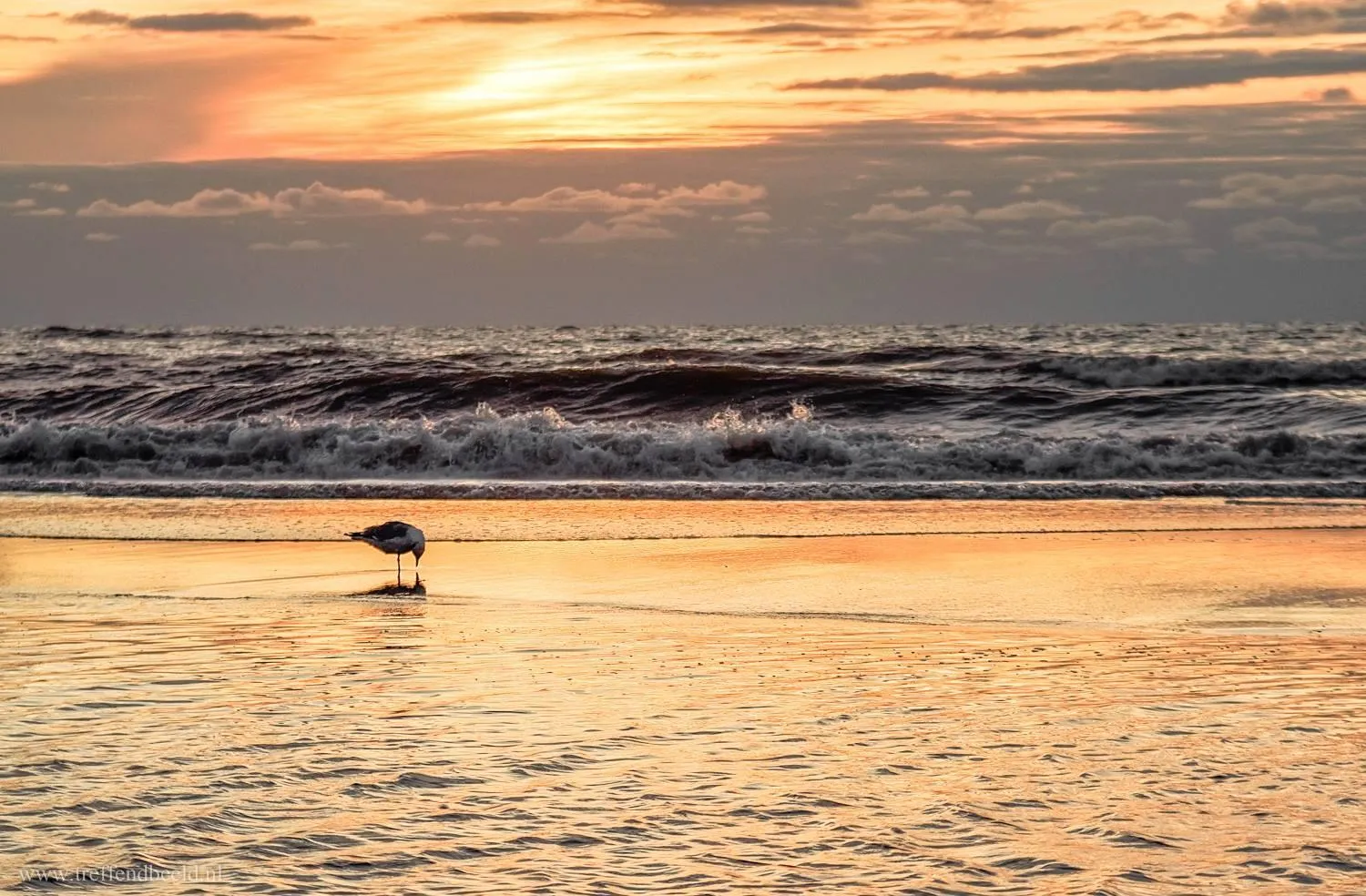 Beach in Hotel Golfzicht