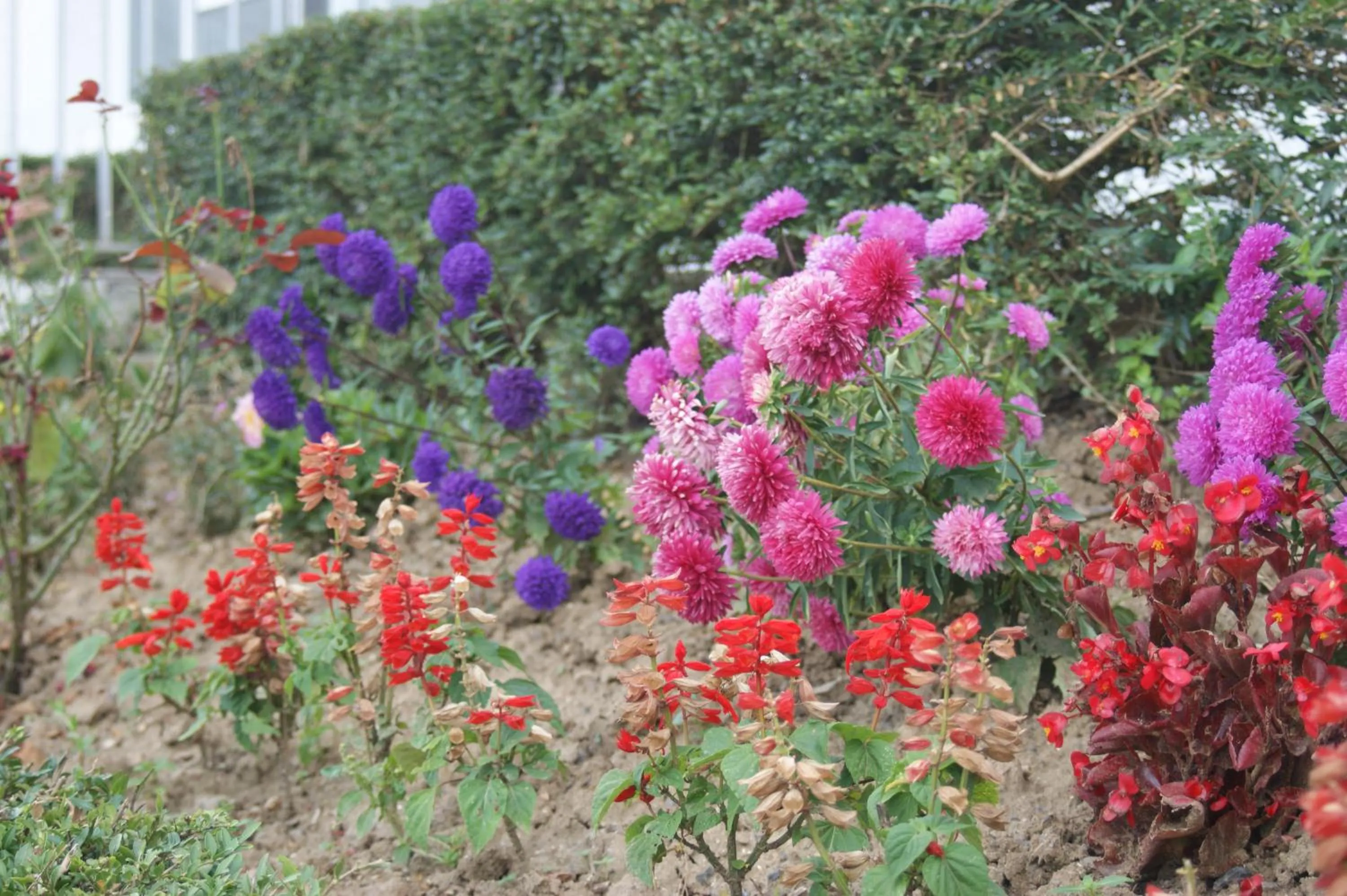 Property building in ibis Cambrai