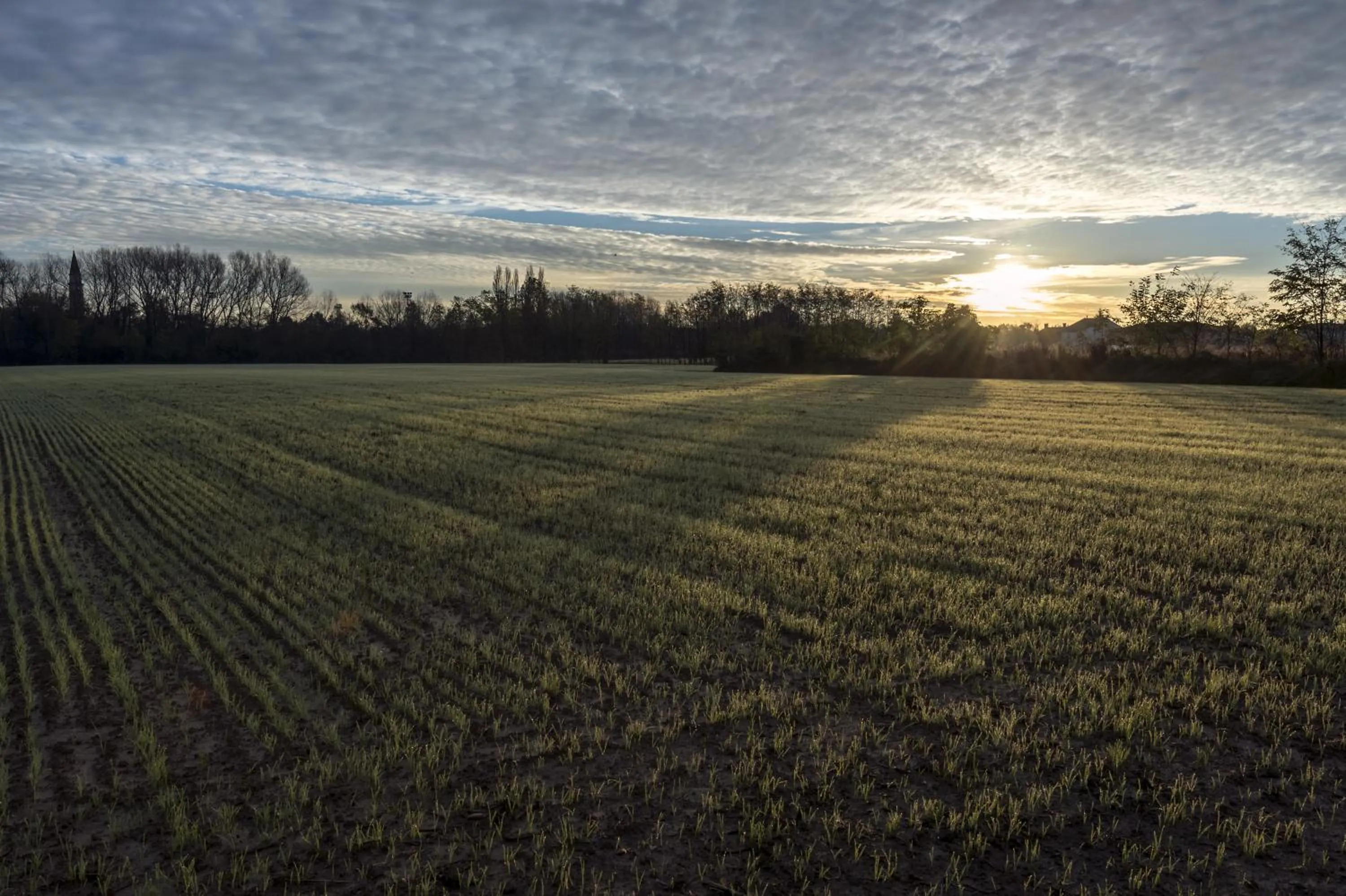 Bed and Breakfast Sile e Natura