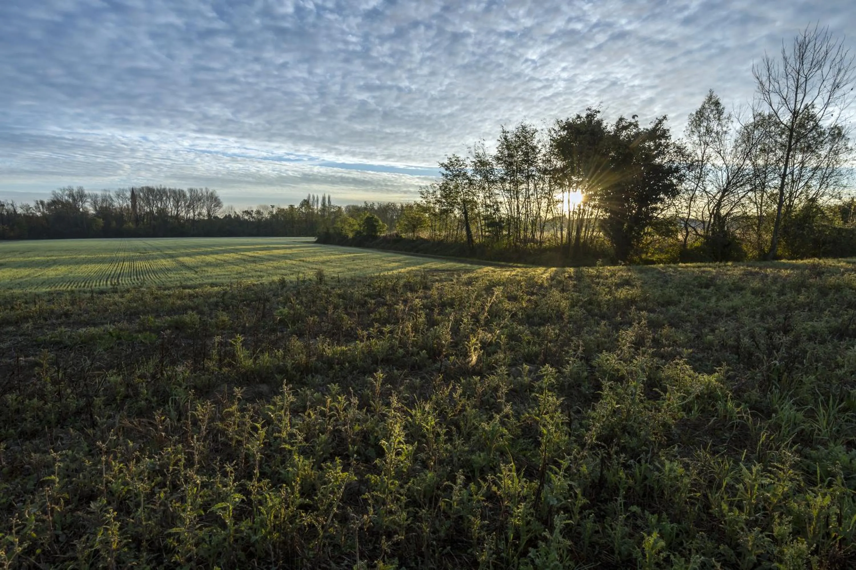 On site in Bed and Breakfast Sile e Natura
