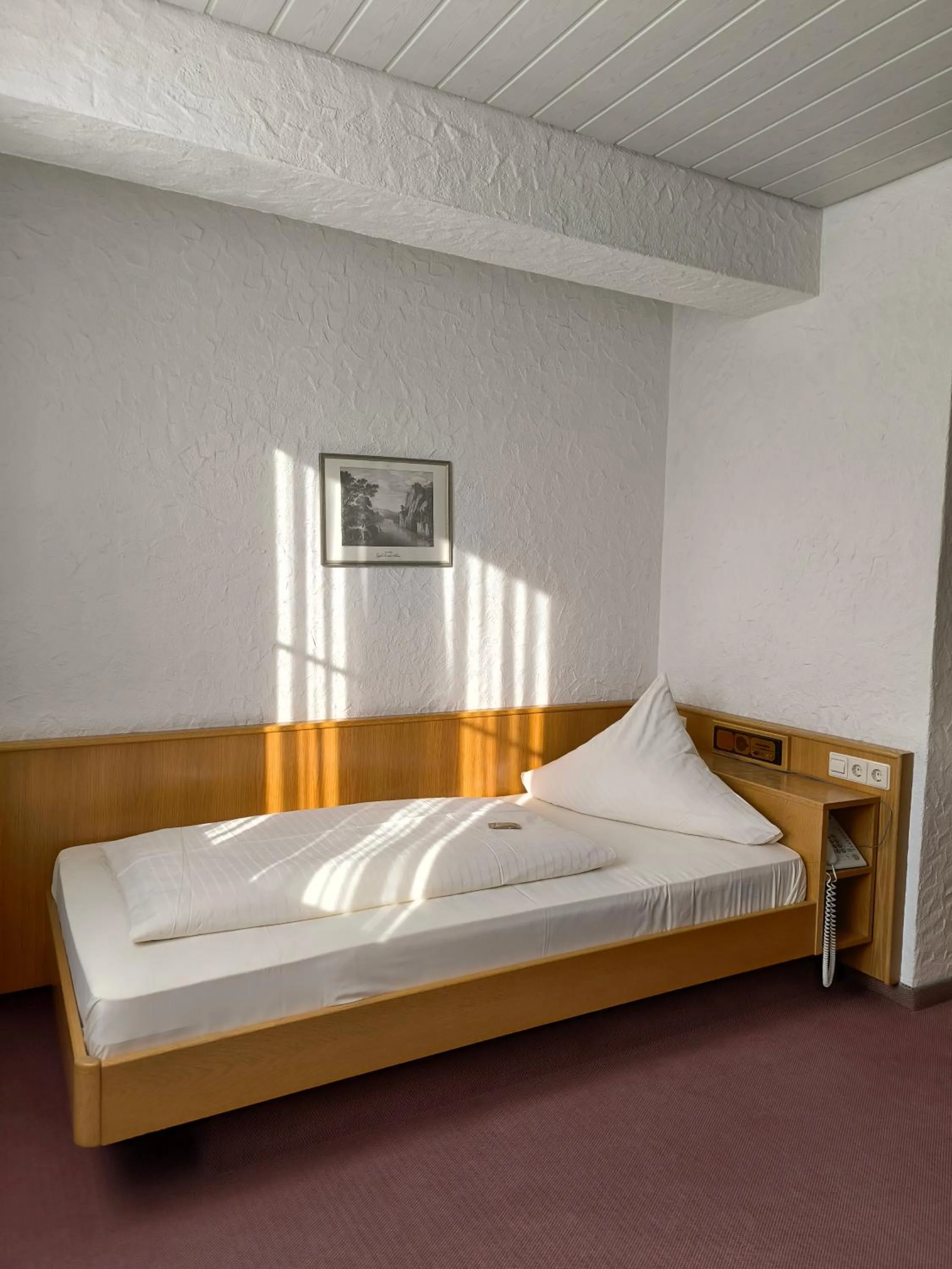 Single Room in Hotel am Neckar
