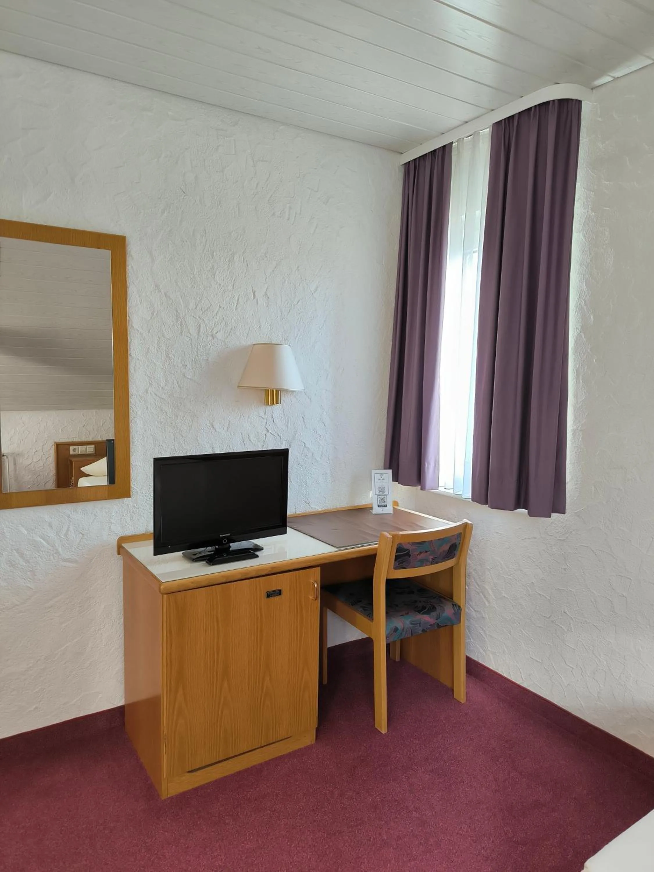 Single Room in Hotel am Neckar