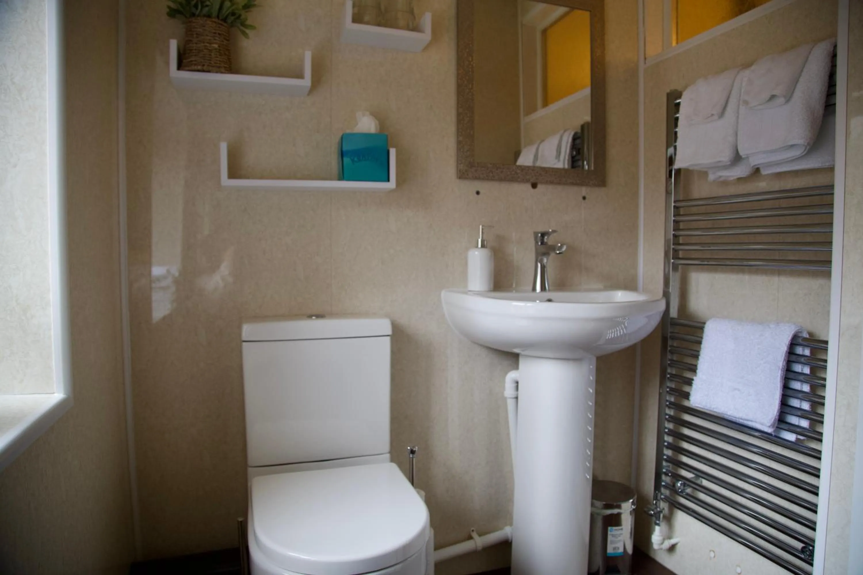 Toilet in The Kings Arms