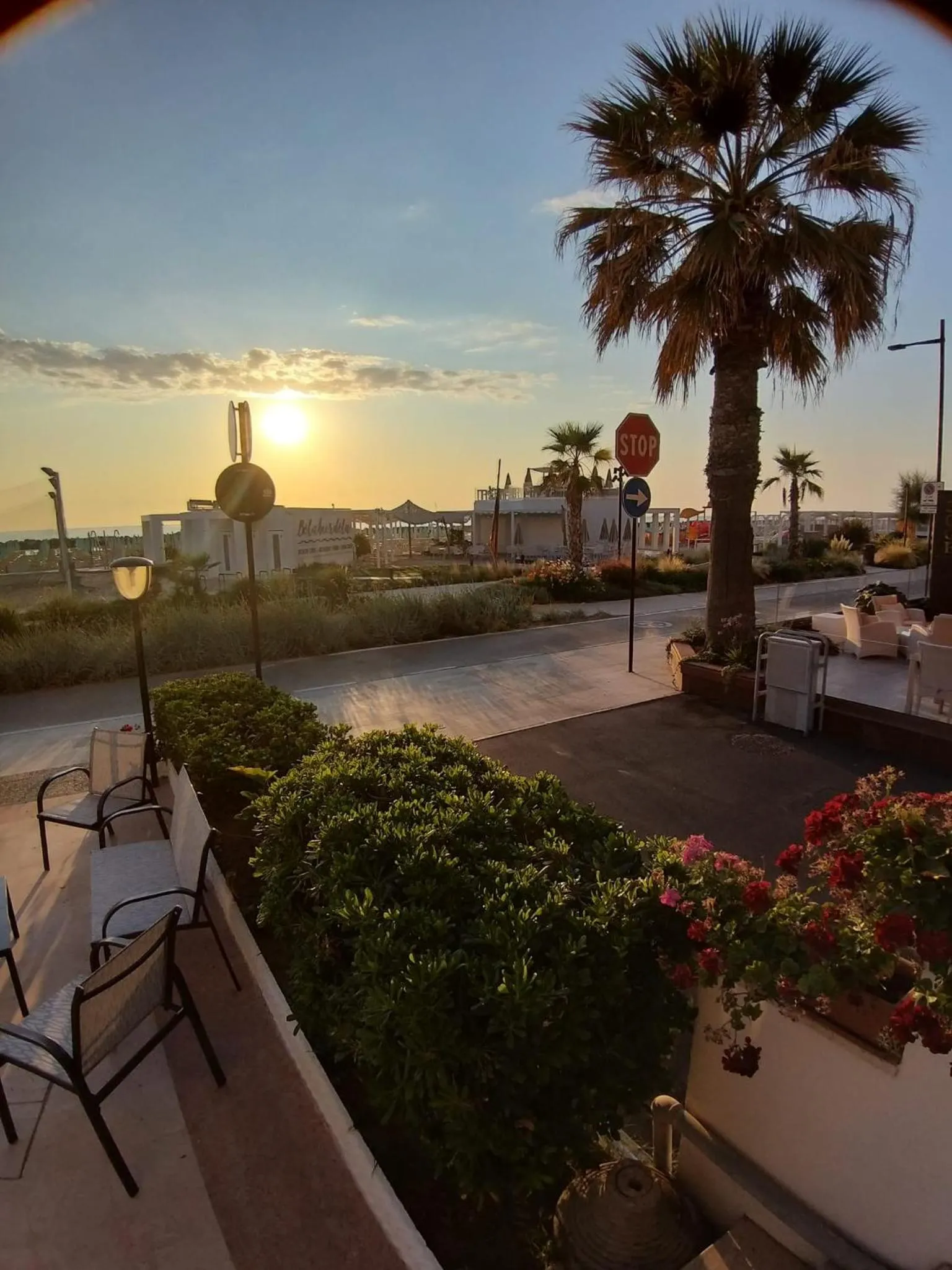 Natural landscape in Hotel Ideal