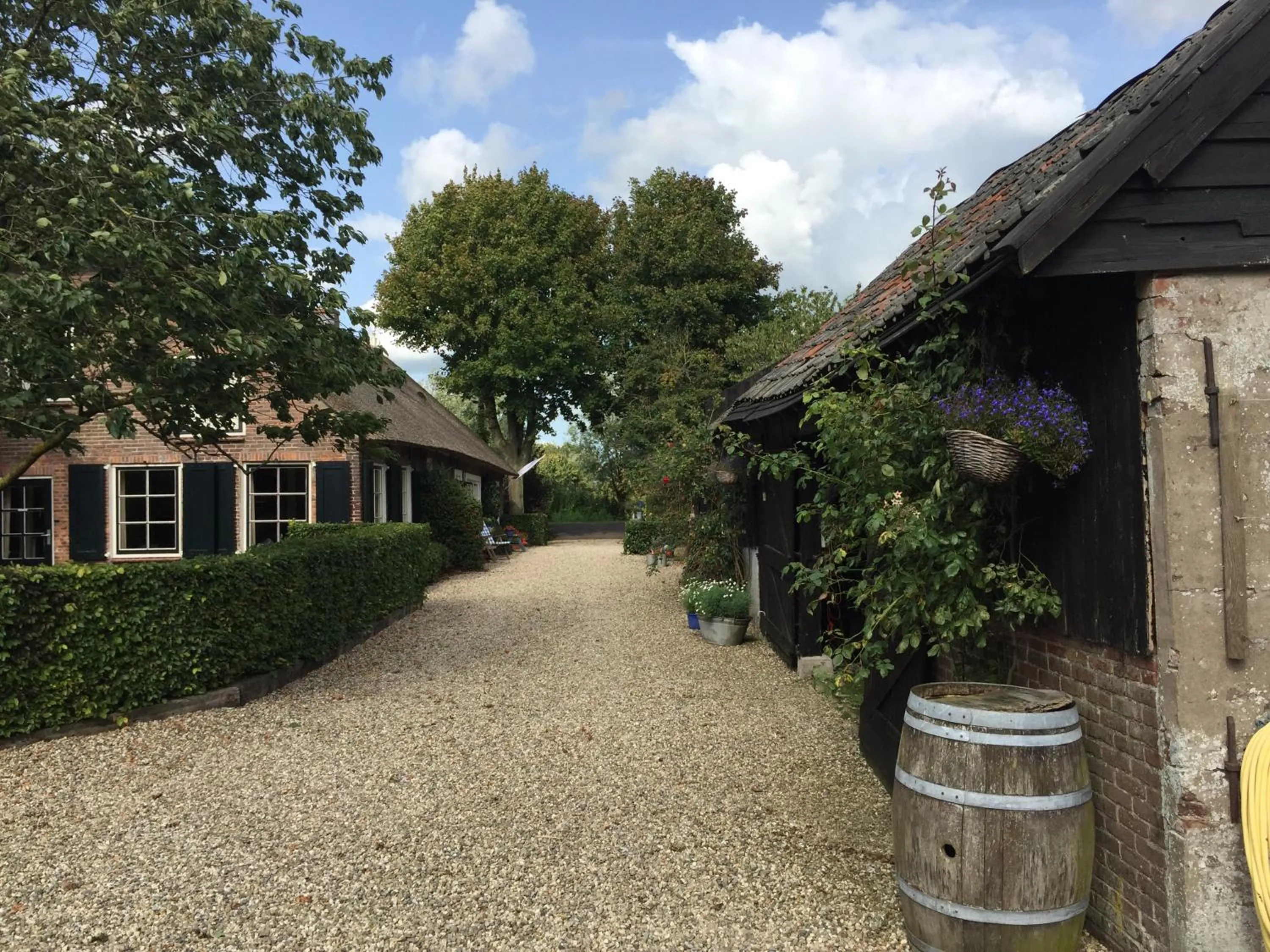 Property building in Droomgaerd