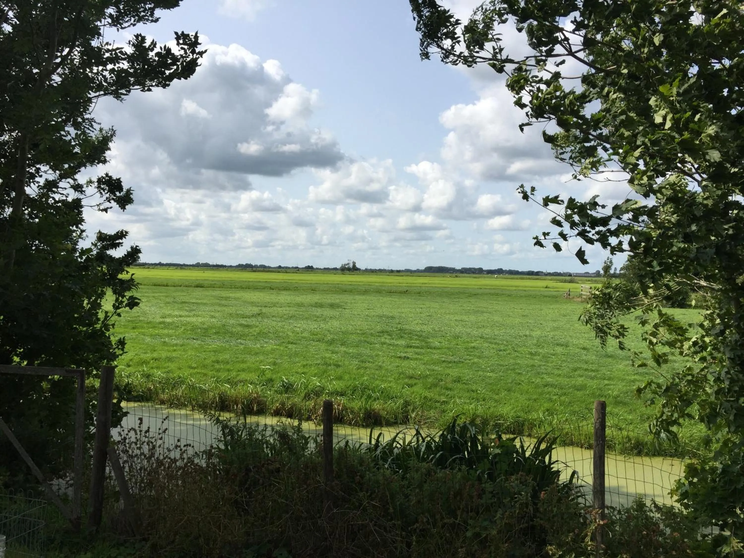 View (from property/room) in Droomgaerd