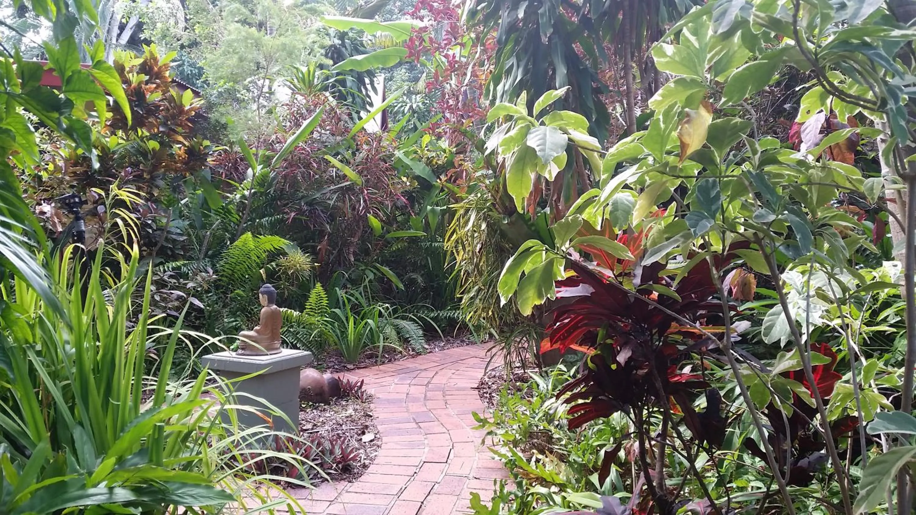 Garden view in Shambhala Retreat Magnetic Island Cottages