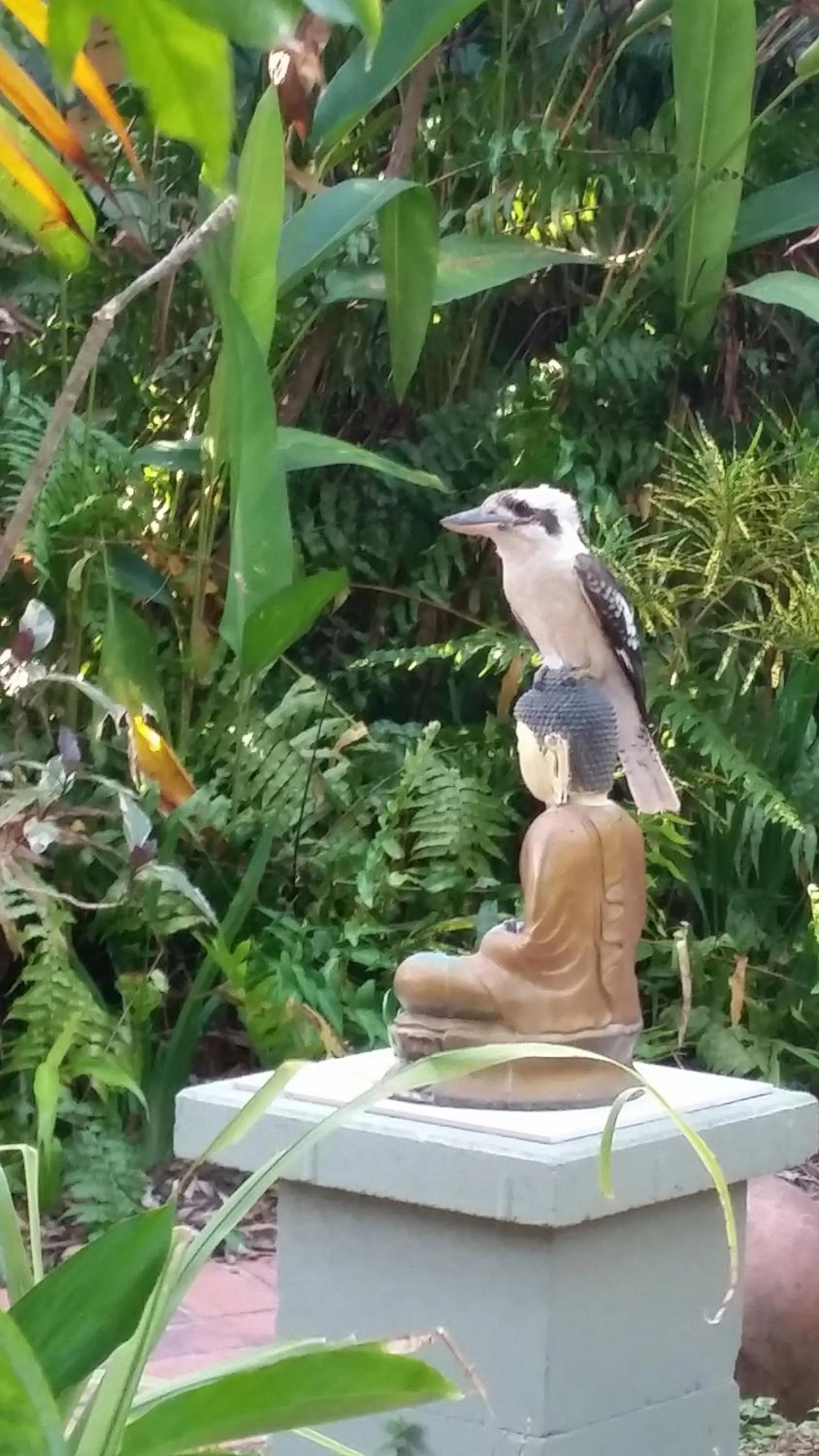 Activities in Shambhala Retreat Magnetic Island Cottages