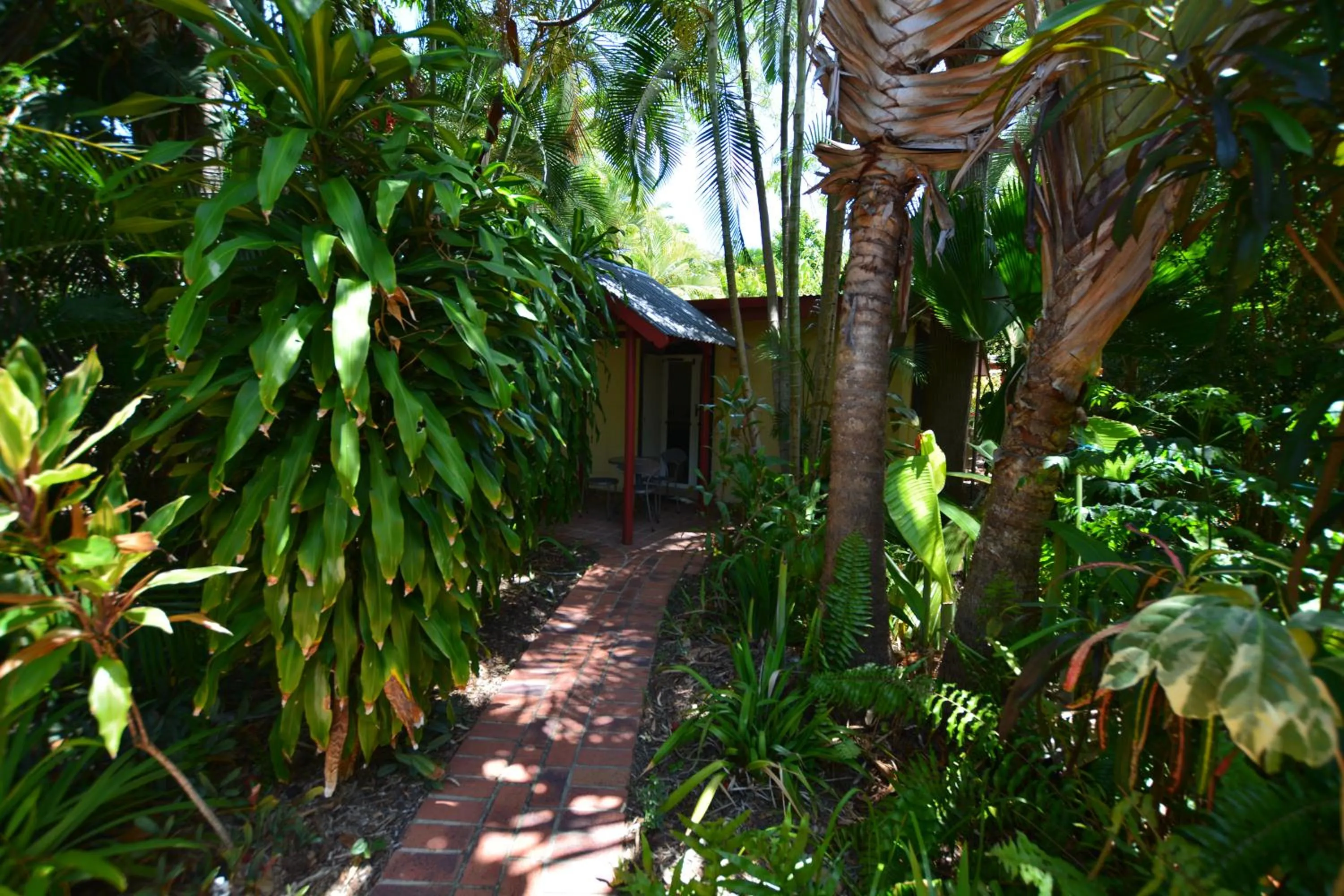 Garden view in Shambhala Retreat Magnetic Island Cottages