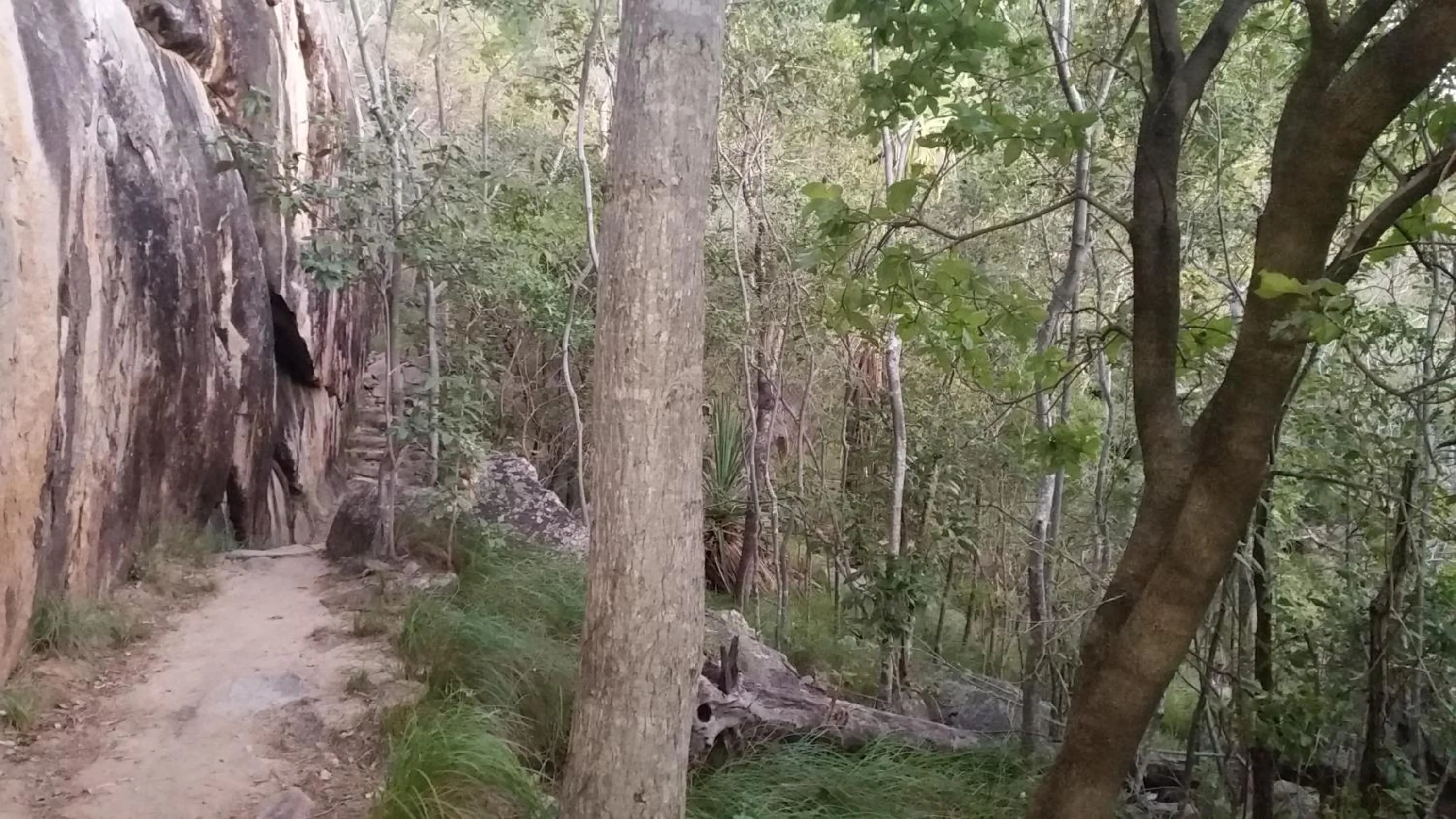 Winter in Shambhala Retreat Magnetic Island Cottages