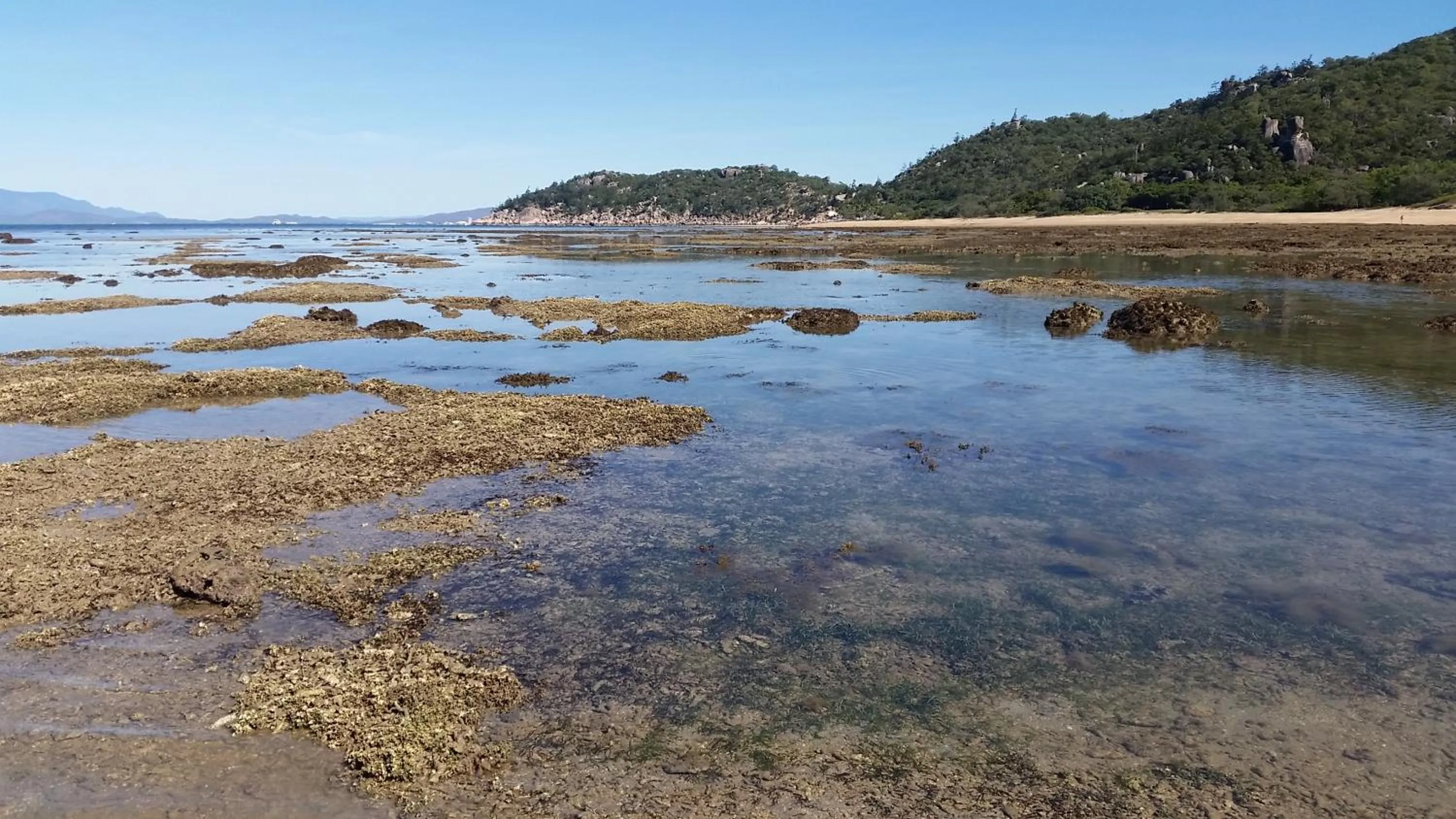 Off site in Shambhala Retreat Magnetic Island Cottages