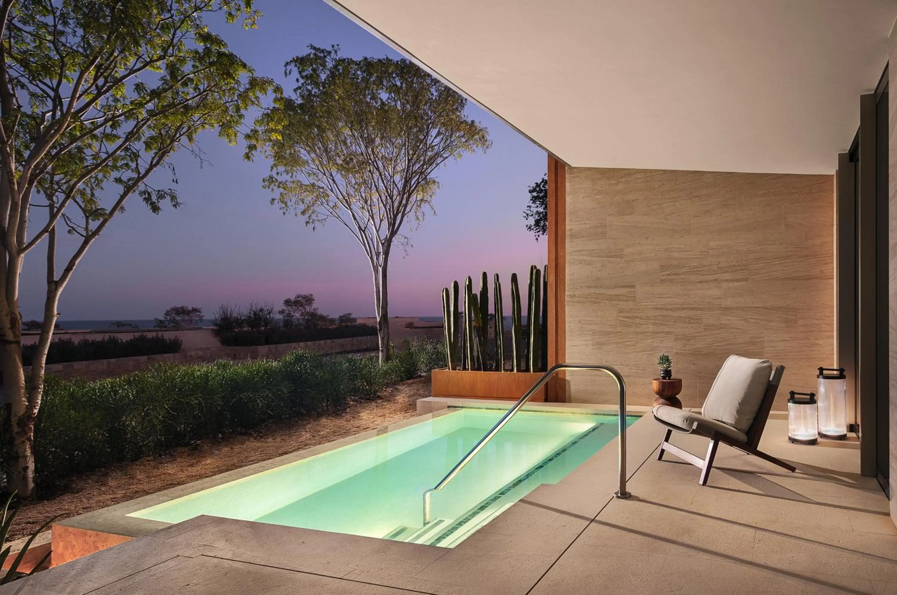 Suite with Plunge Pool, Patio and Partial Ocean View in Park Hyatt Cabo Del Sol