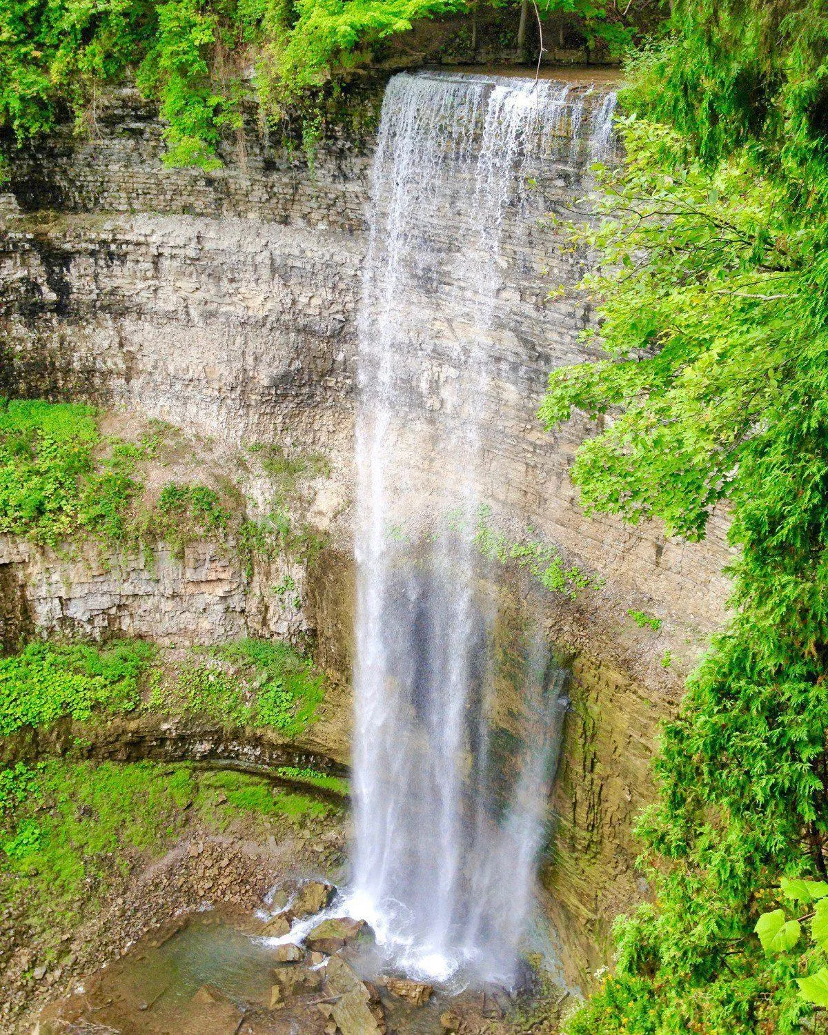 Activities in Signature Stay Inn & Suites - Downtown Hamilton