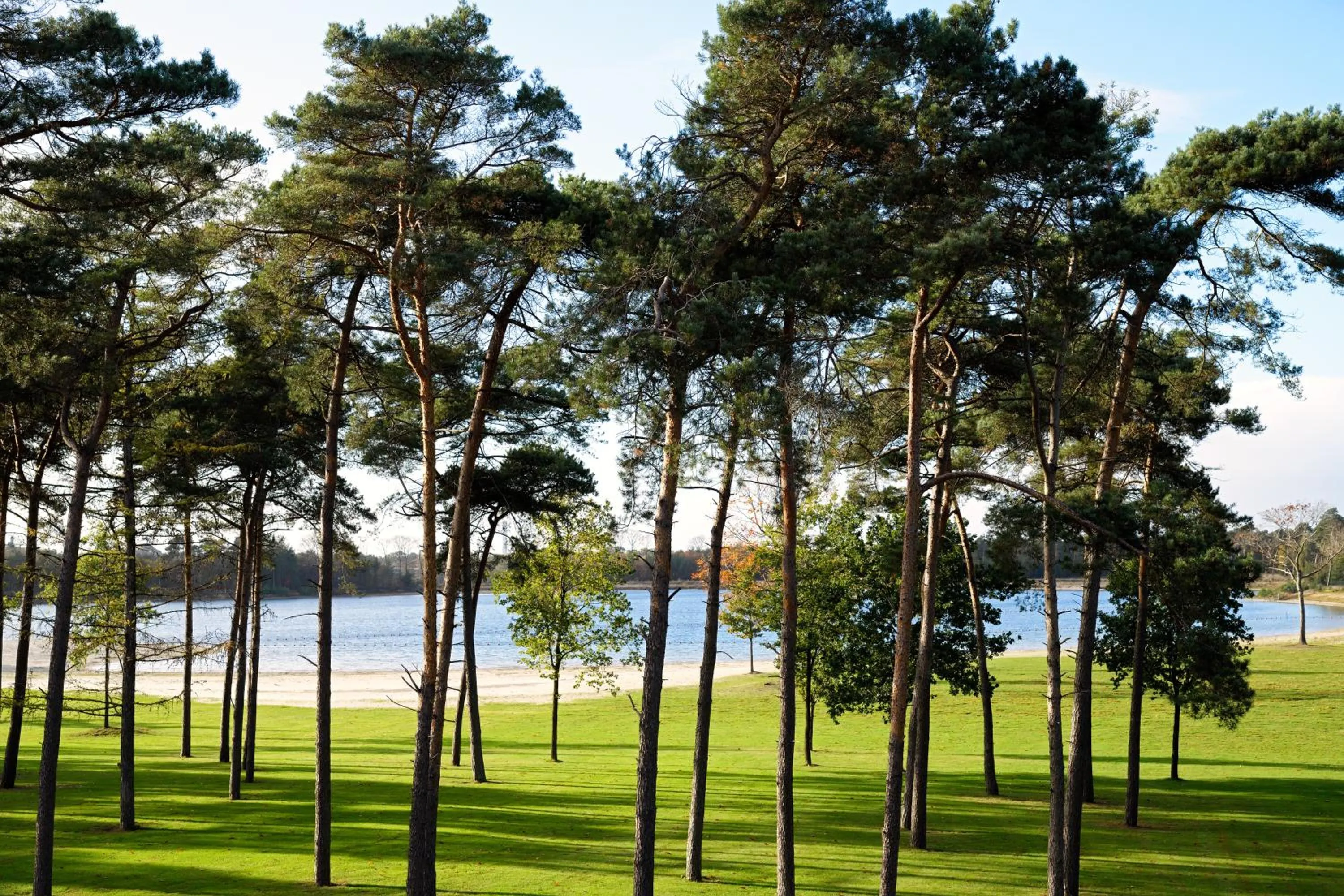 Hotel restaurant Nederheide