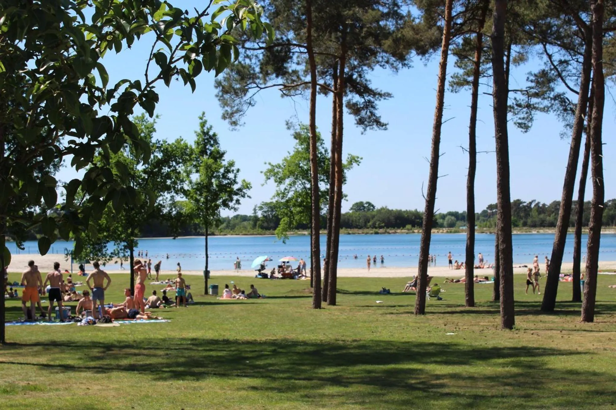 Hotel restaurant Nederheide