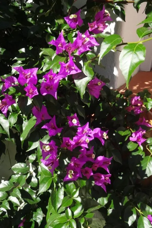 Other in Hotel Uhainak