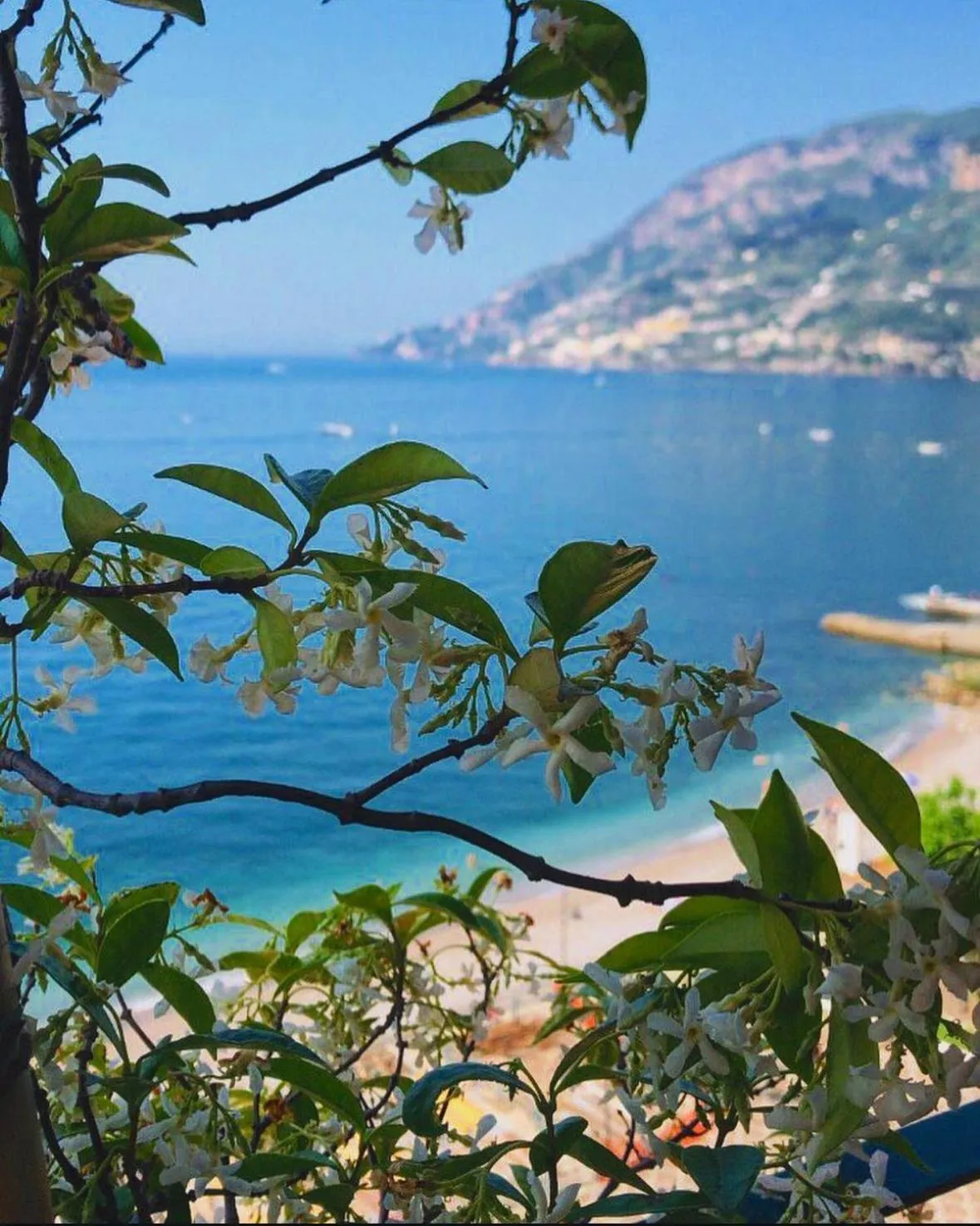 Natural landscape in Hotel Sole