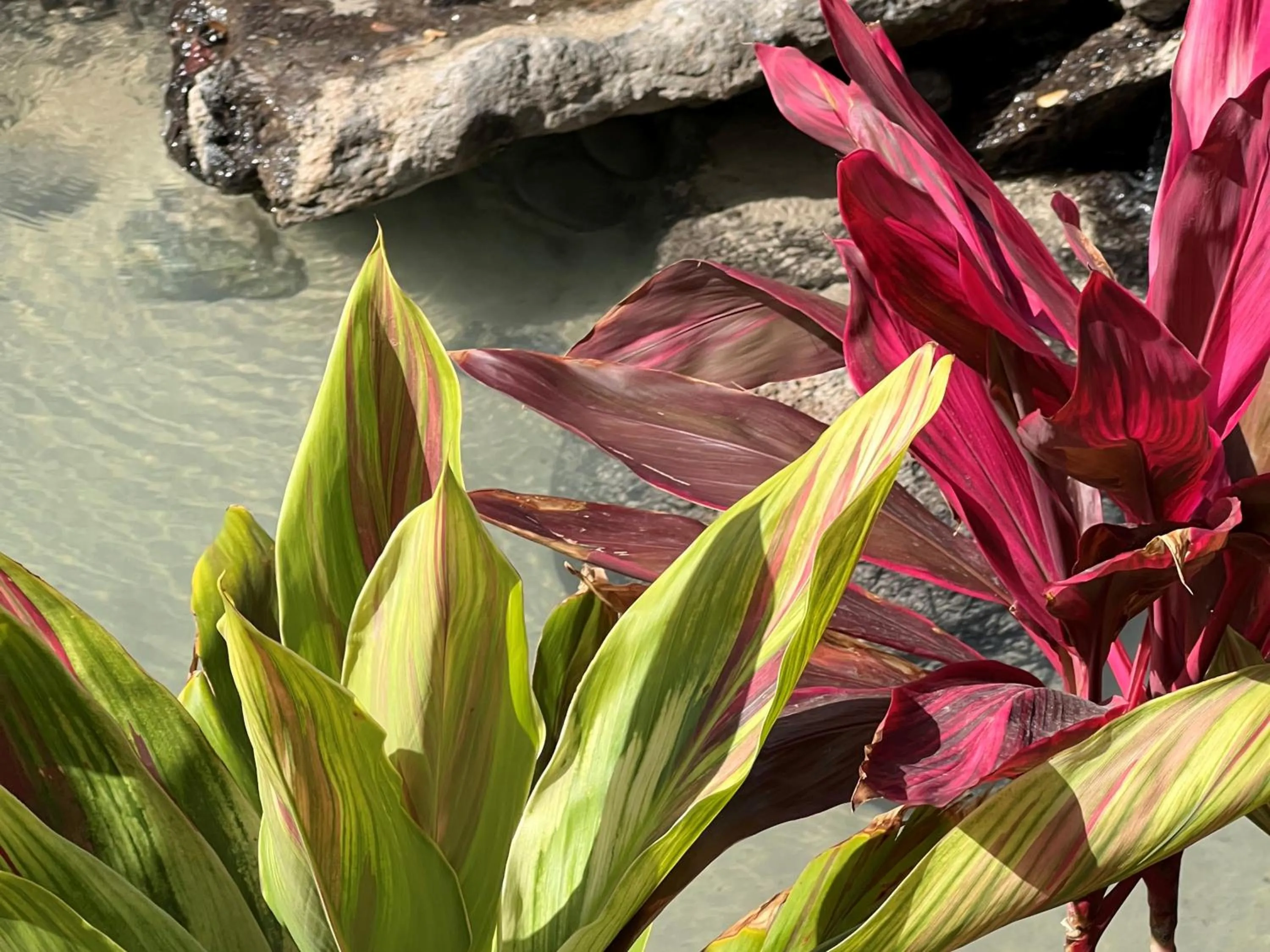 Off site in First Cabin International Hawaii