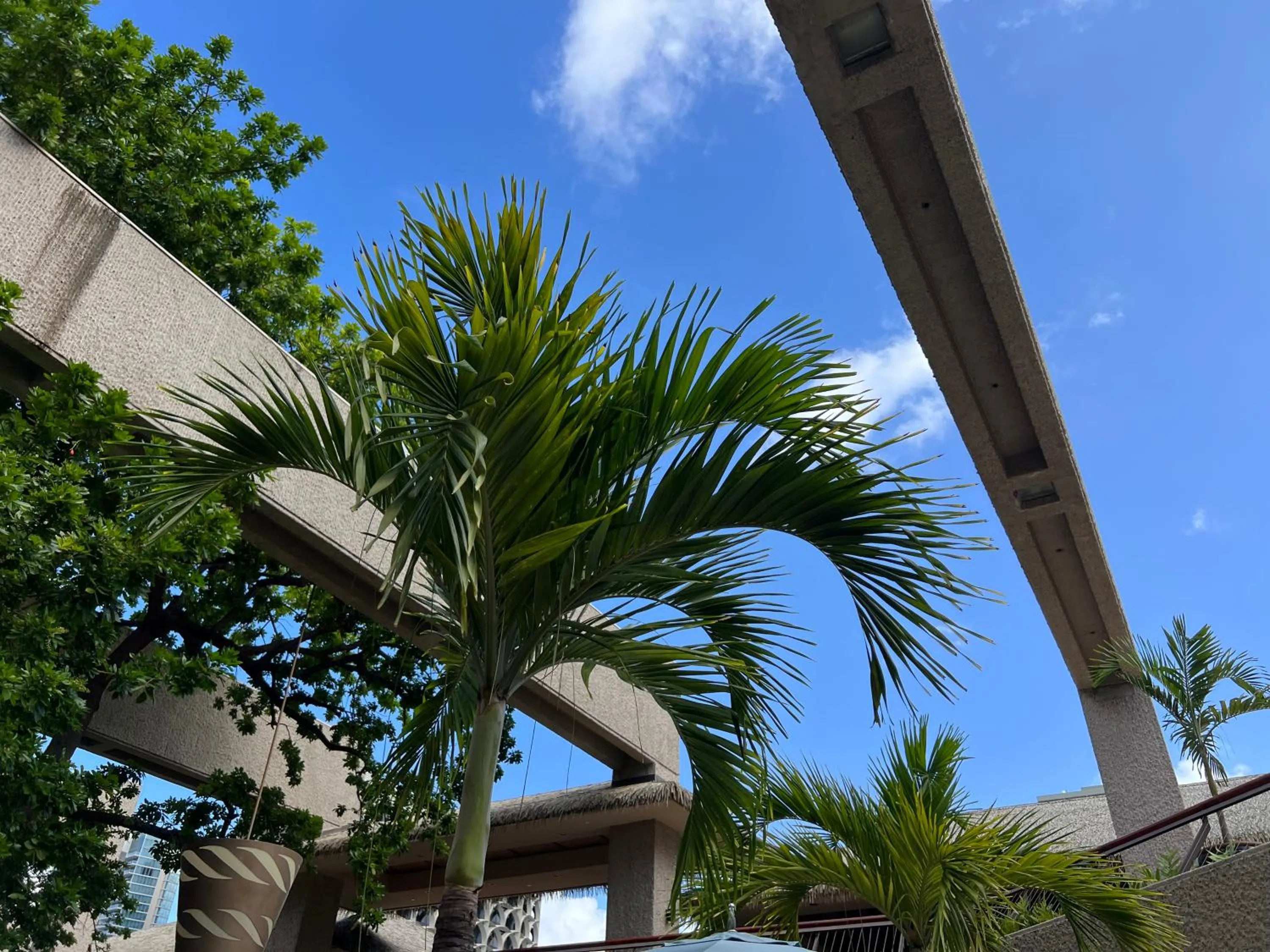 Off site in First Cabin International Hawaii