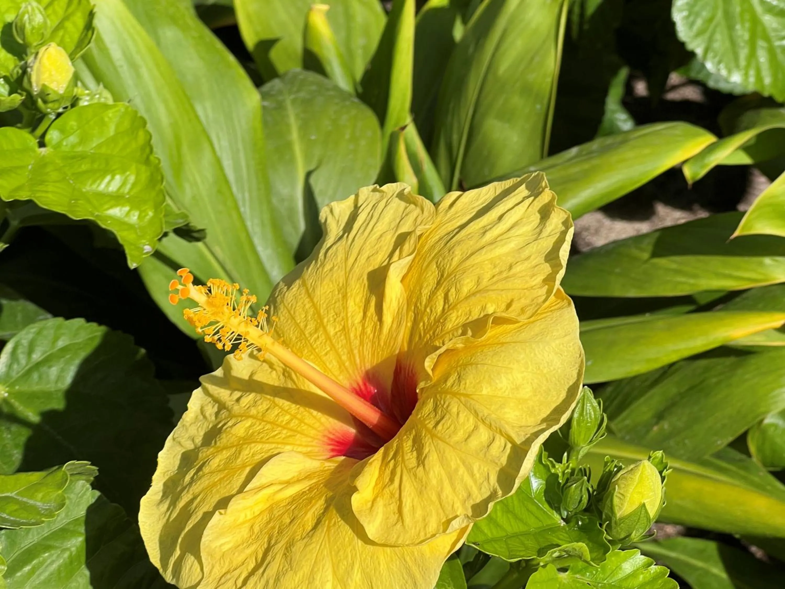 Nearby landmark in First Cabin International Hawaii