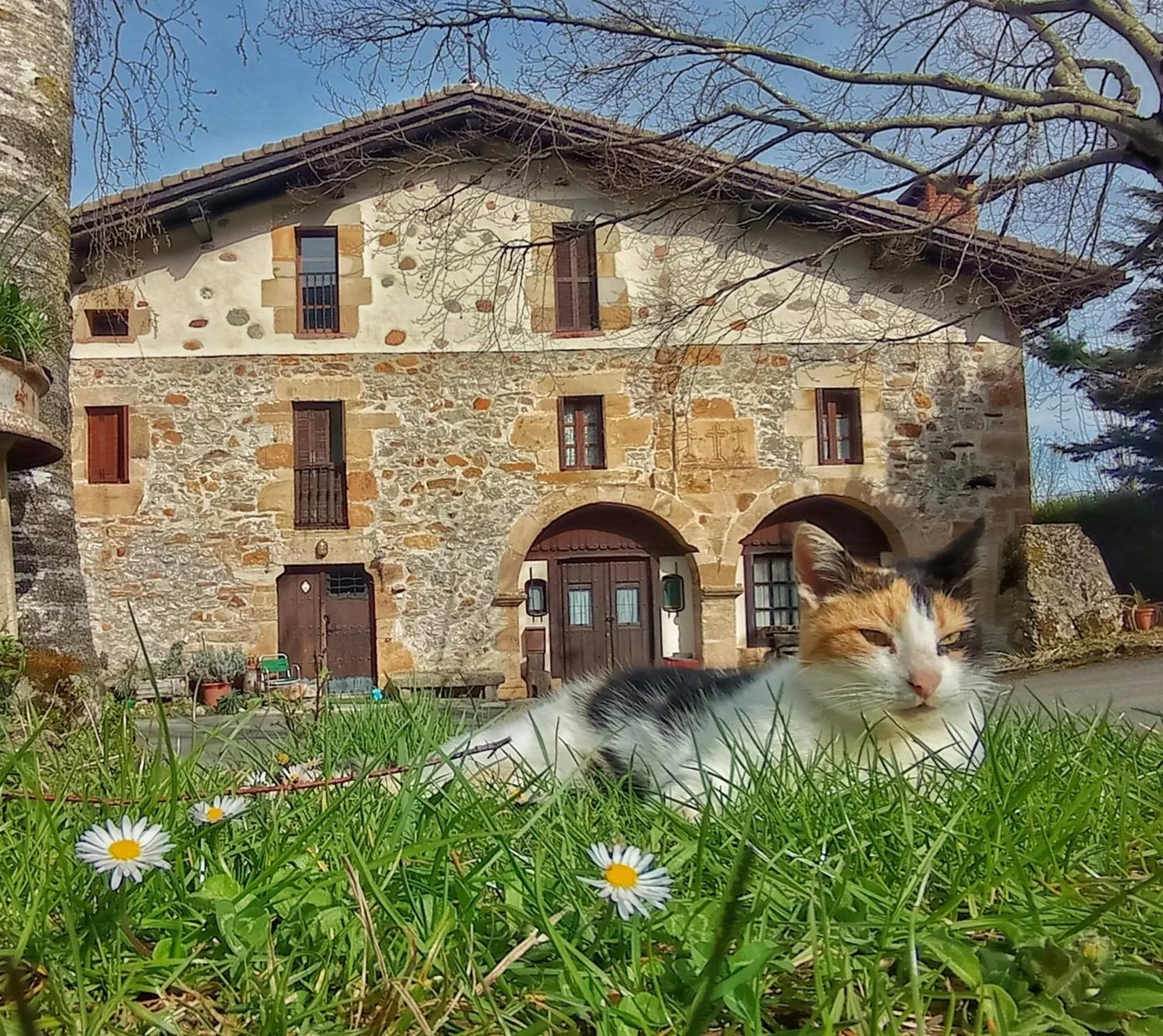 Casa Rural Areano