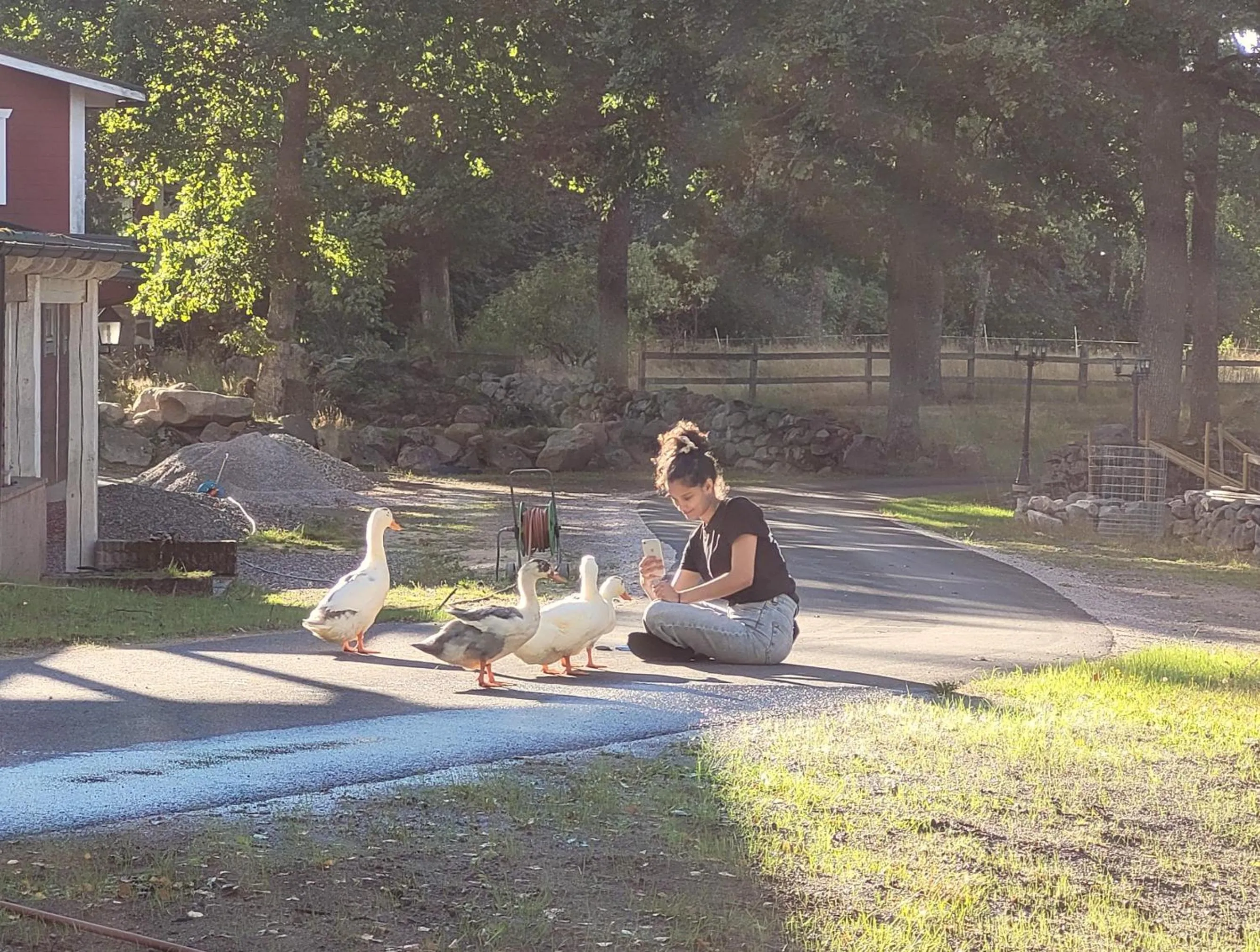 group of guests in Bergakungen Stugby