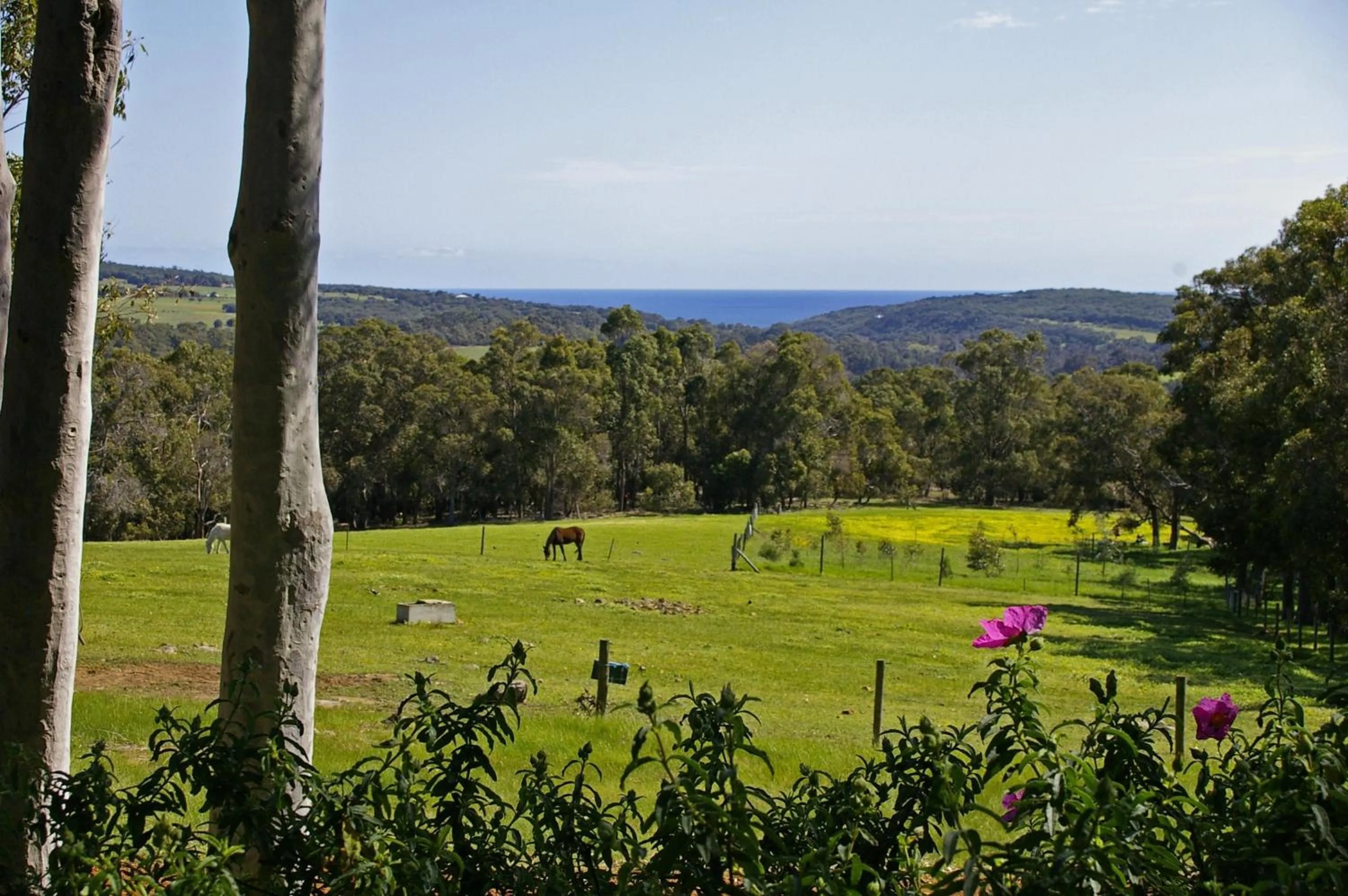 Natural landscape in Wildwood Valley