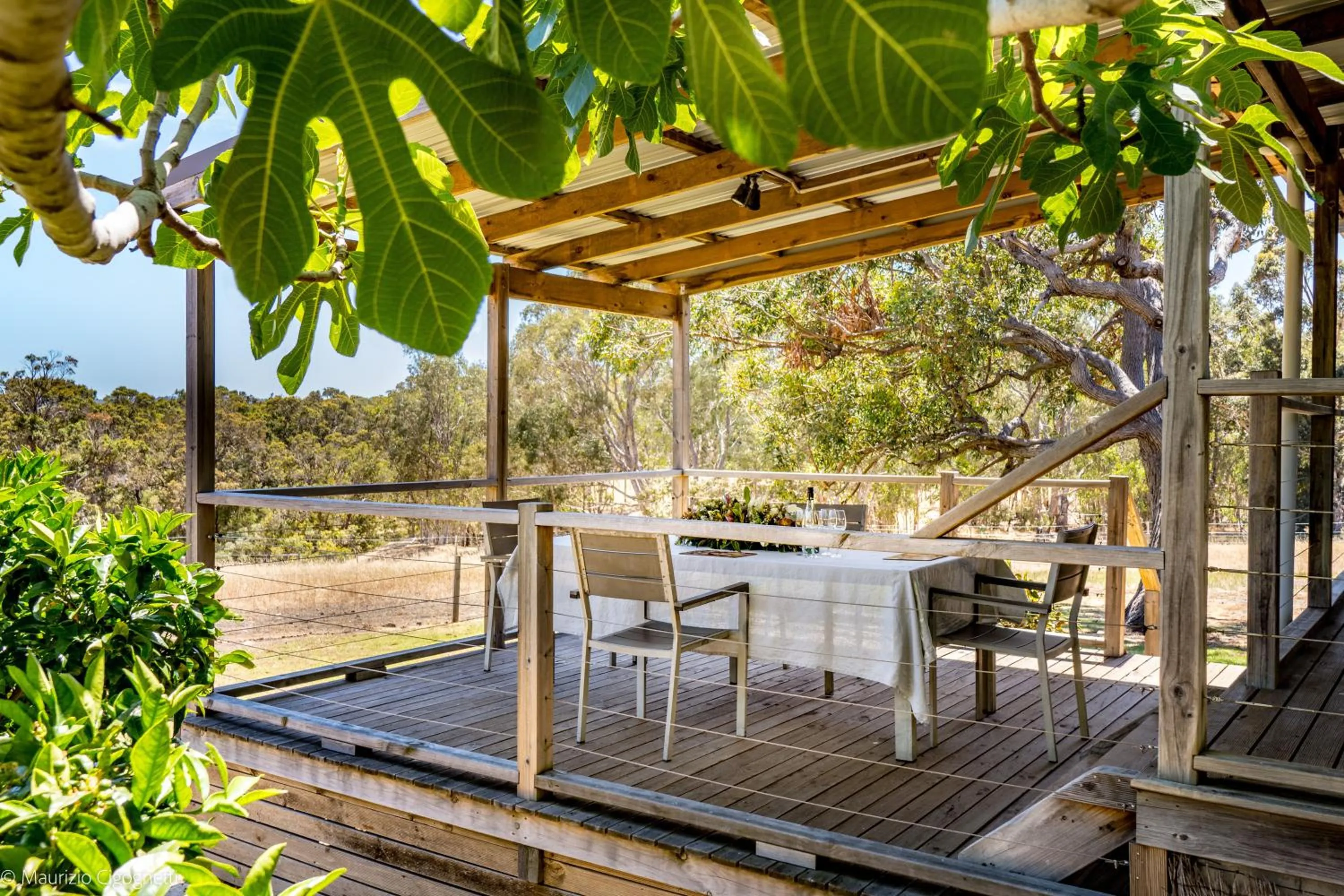 Patio in Wildwood Valley