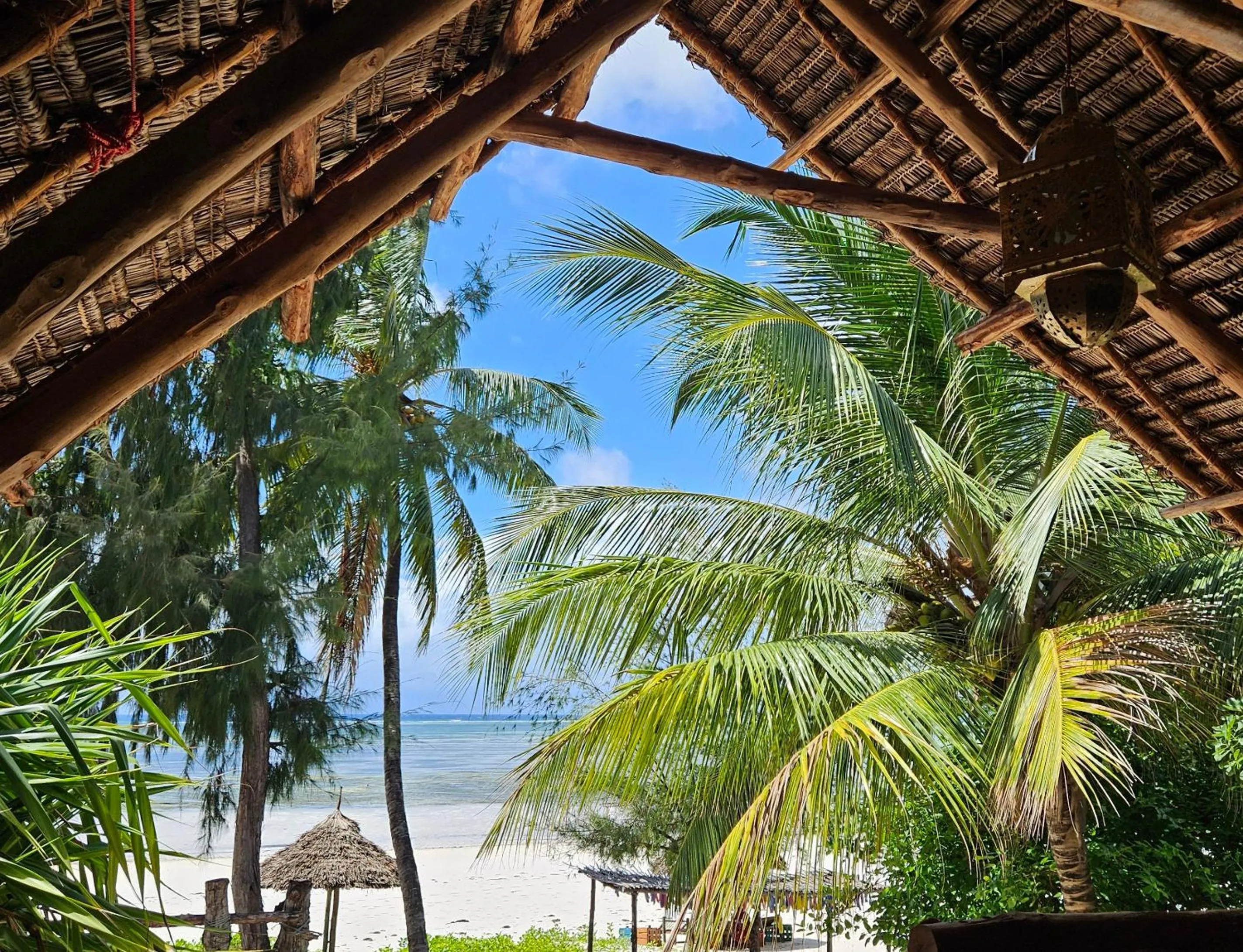 Balcony/Terrace in Evergreen Bungalows