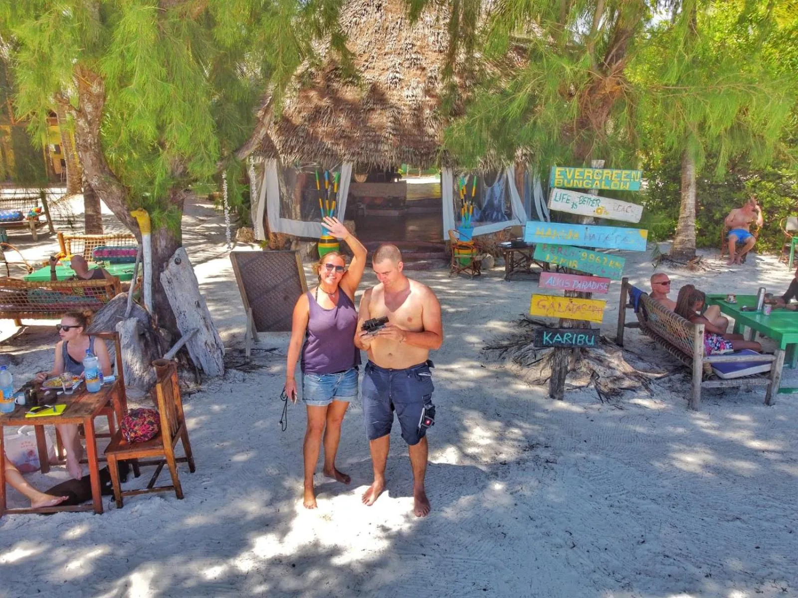 Day in Evergreen Bungalows