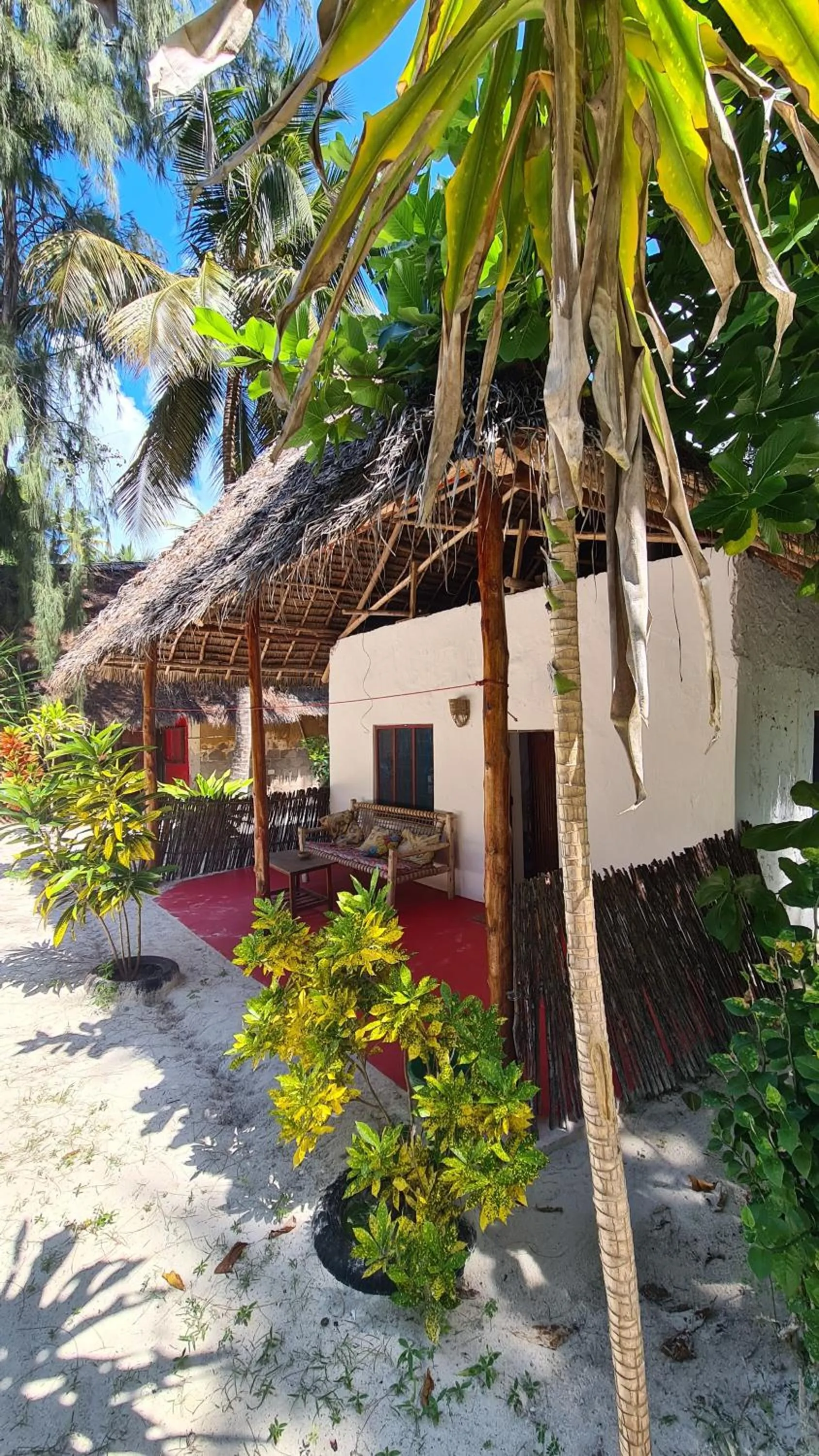 Day in Evergreen Bungalows