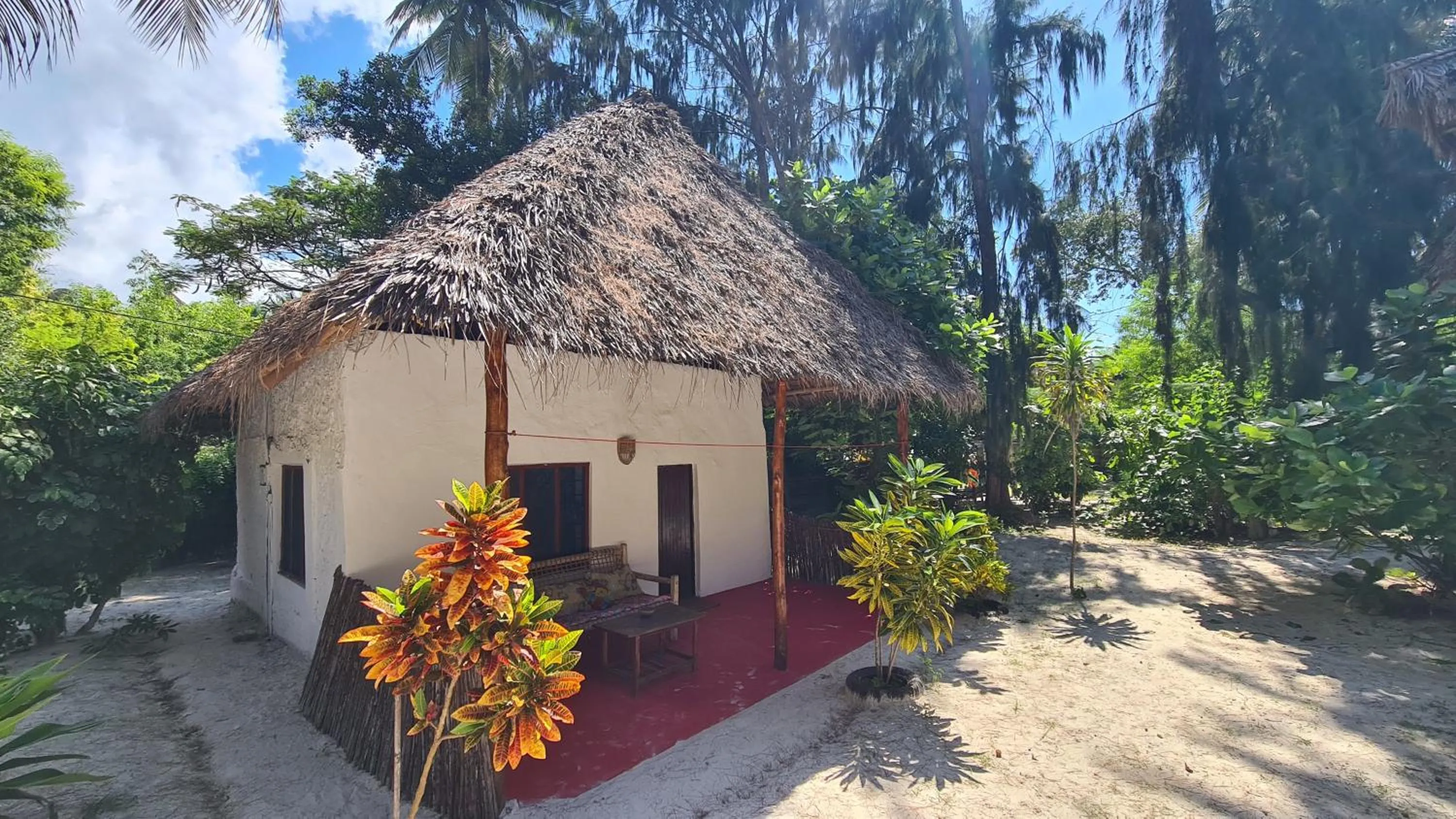 Day in Evergreen Bungalows