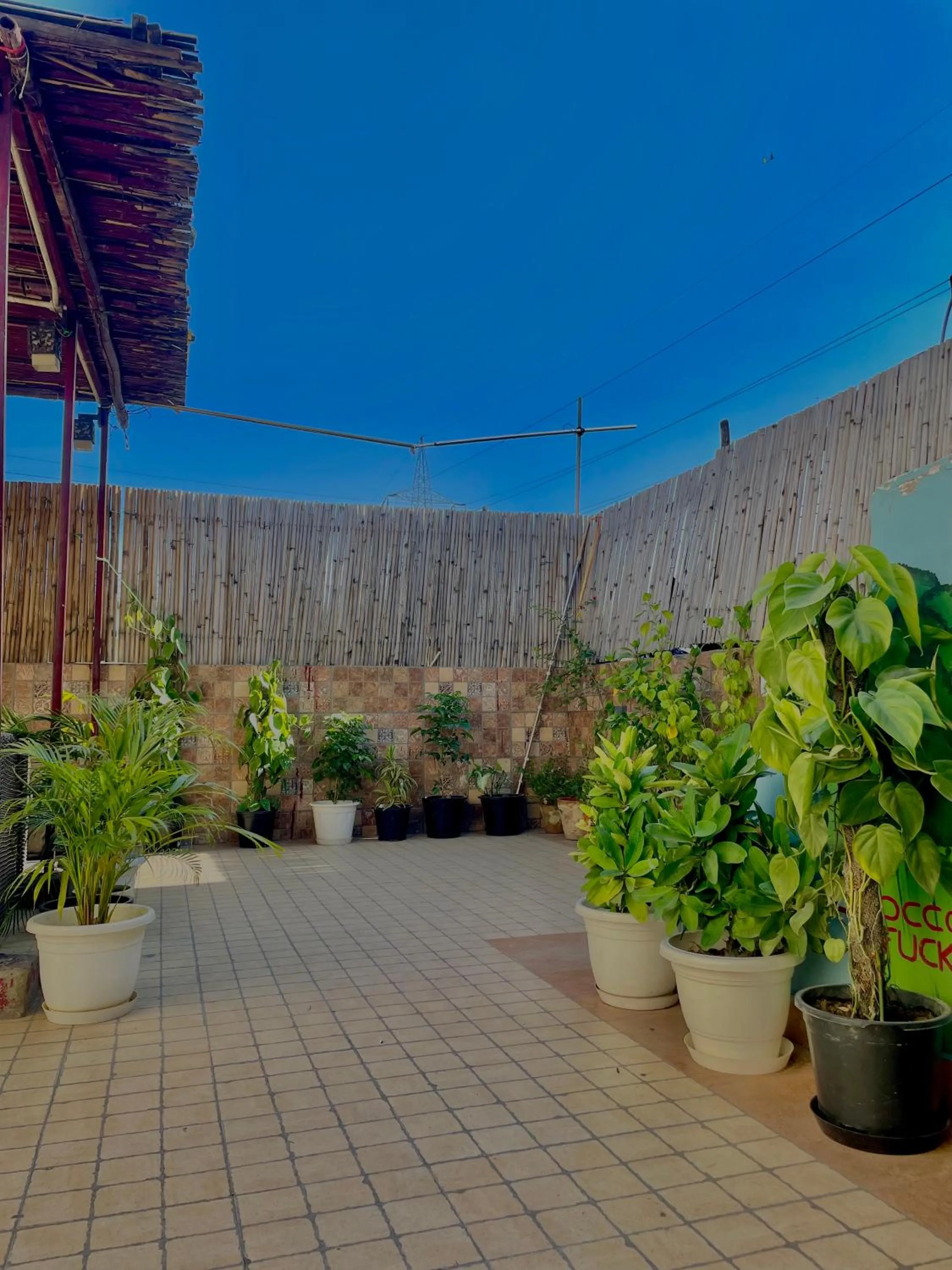 Joey's Hostel Delhi - 20 mins from Railway Station