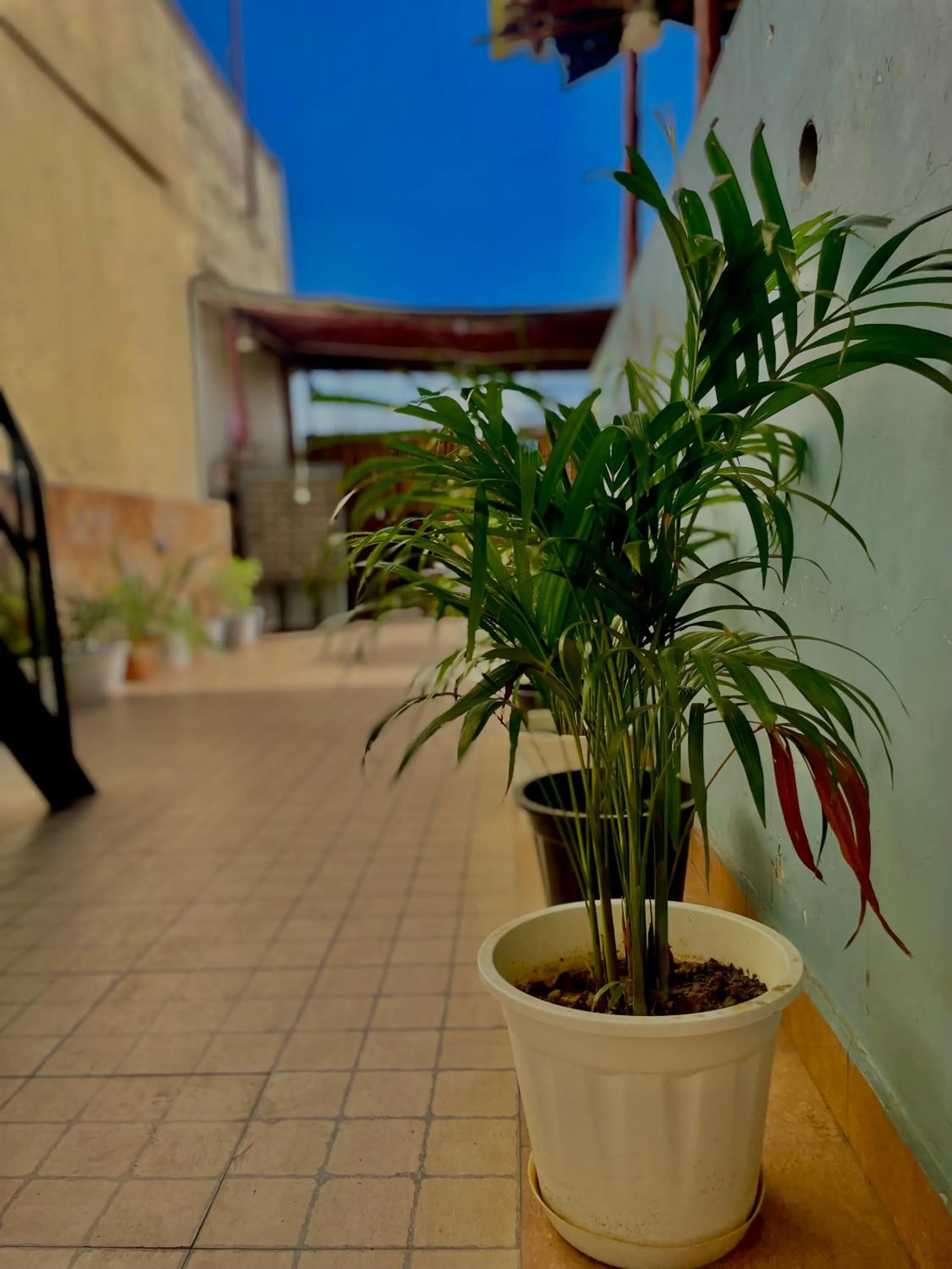 Joey's Hostel Delhi - 20 mins from Railway Station